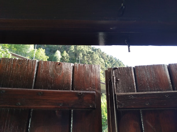 Close-up of a freshly installed wooden fence with rich grain and sturdy posts under a bright sky.