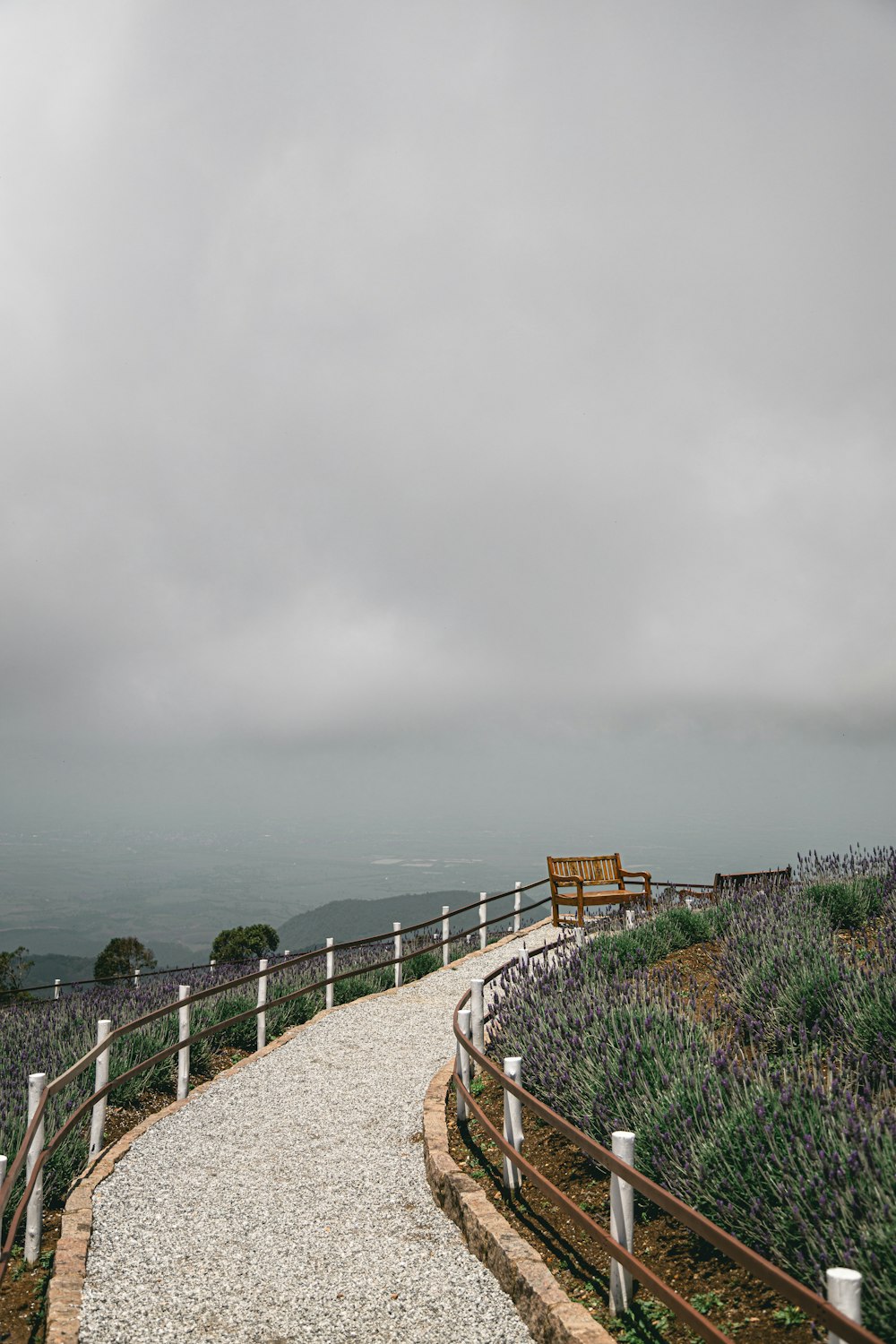 a path with a bench on it and a body of water in the background