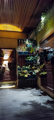Peaceful spa corridor decorated with plants and soft ambient lighting.