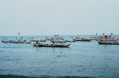 a group of boats sit in the water