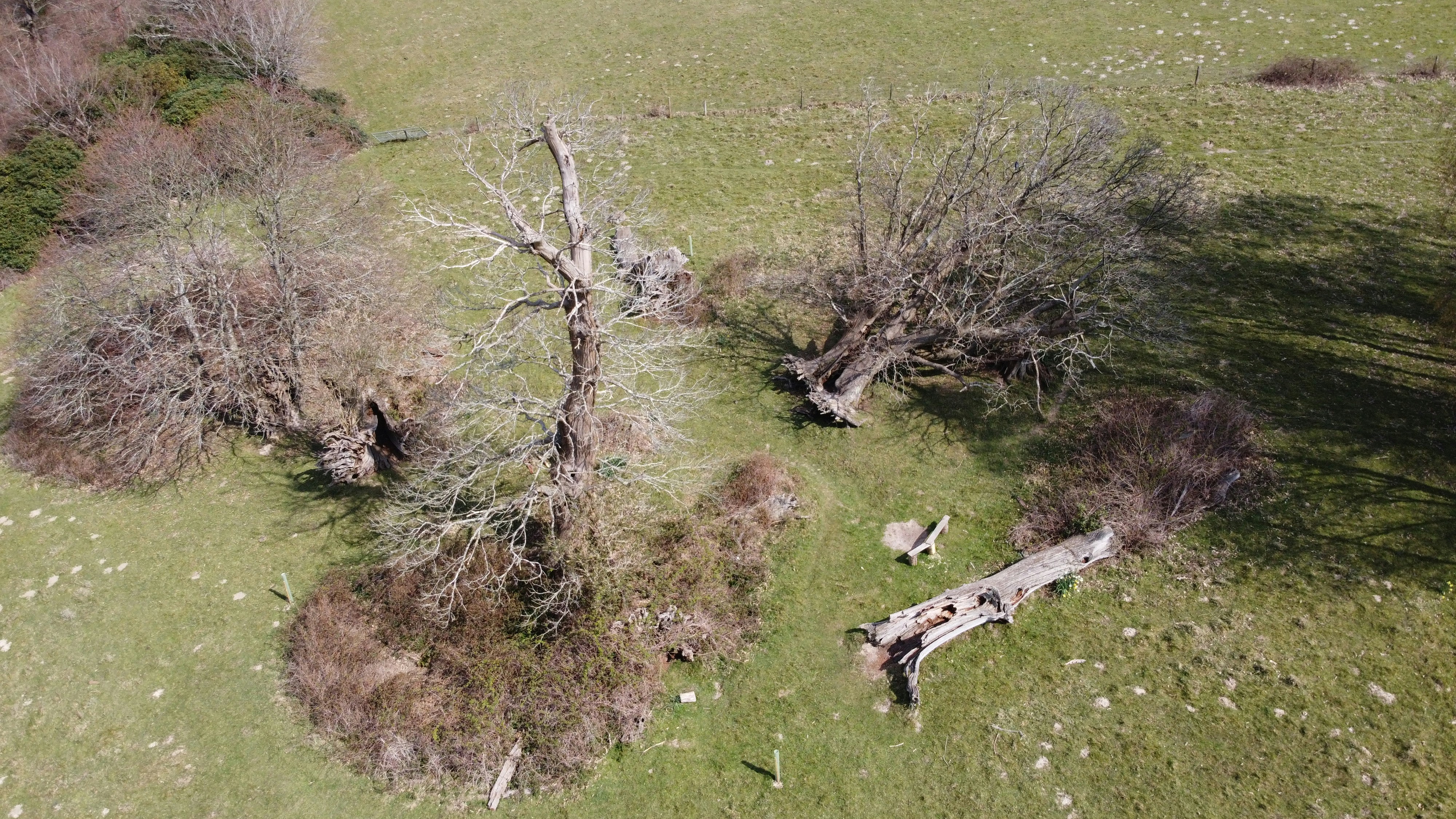 Photo by jaspercampbell