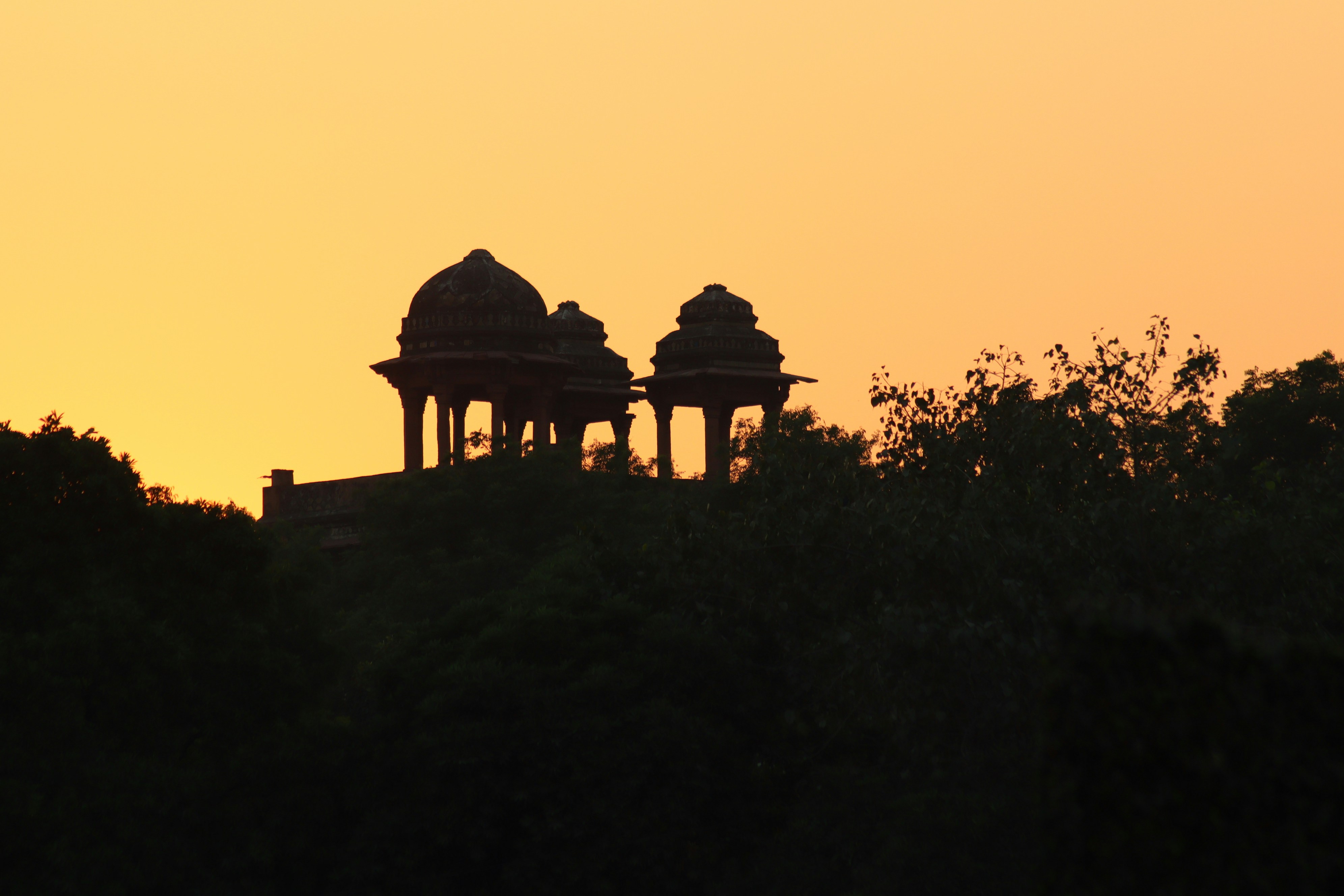 Photo by saubhagya2304