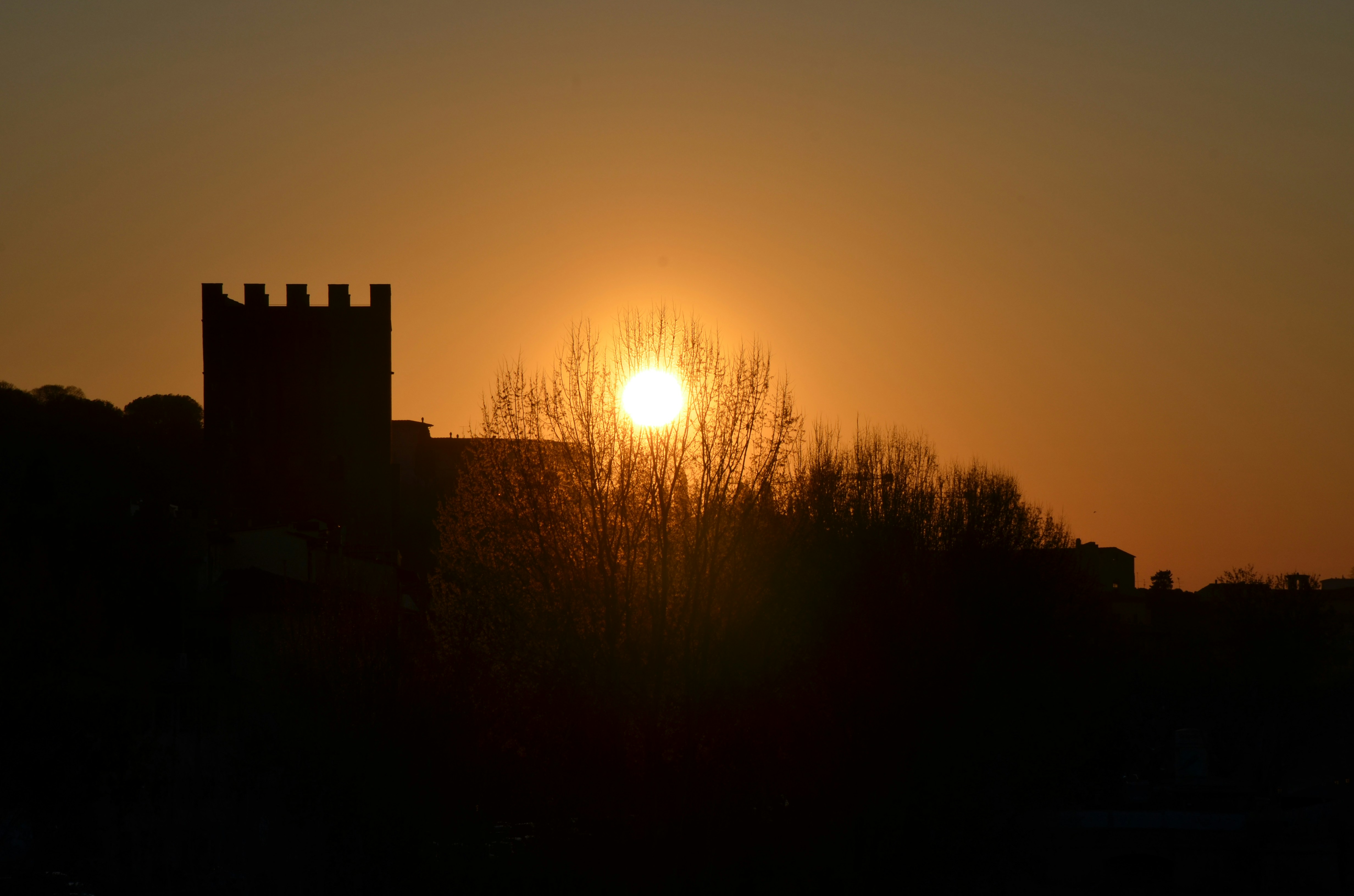 una silhouette di un edificio e alberi