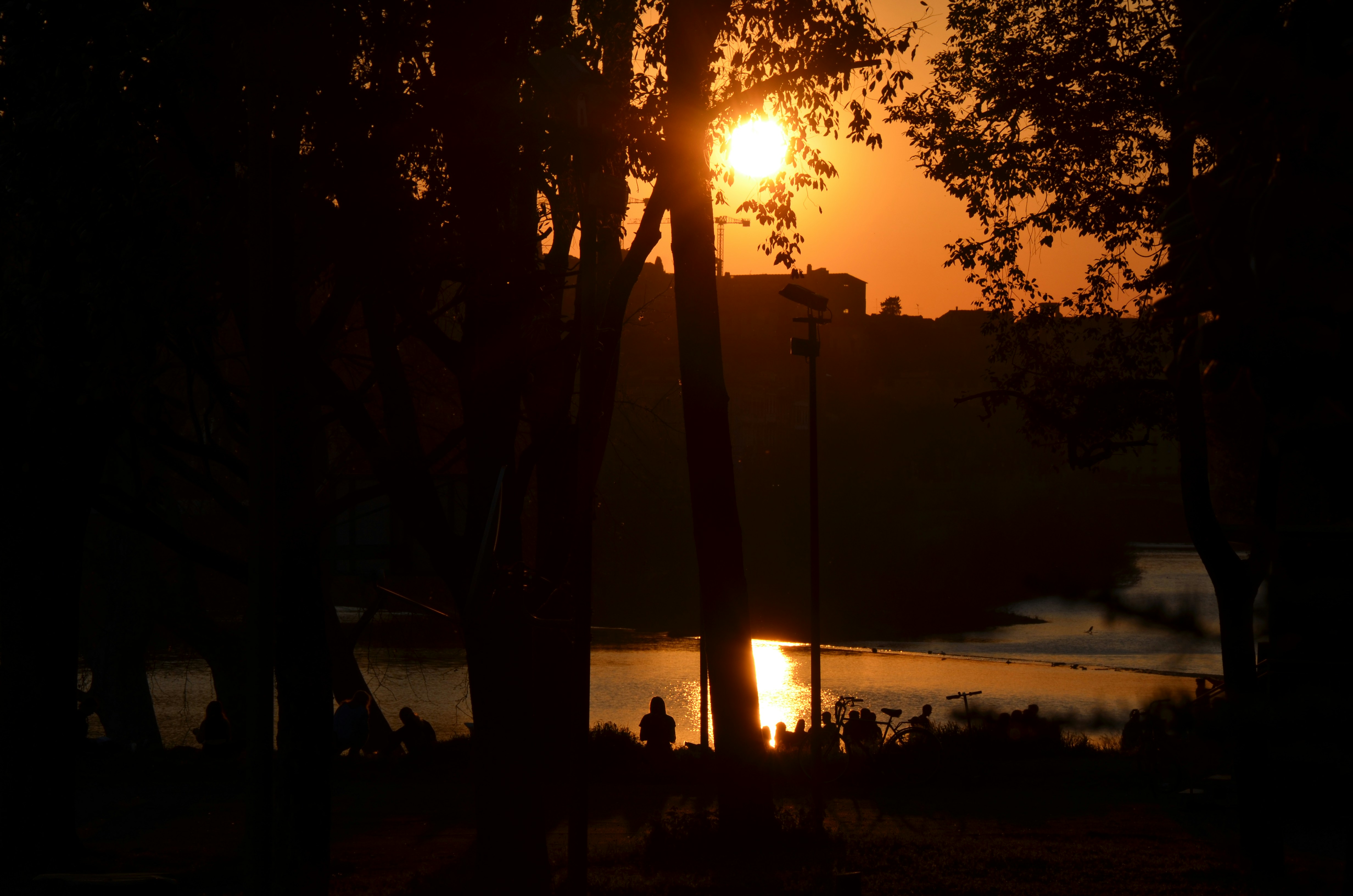 Photo by jaspercampbell