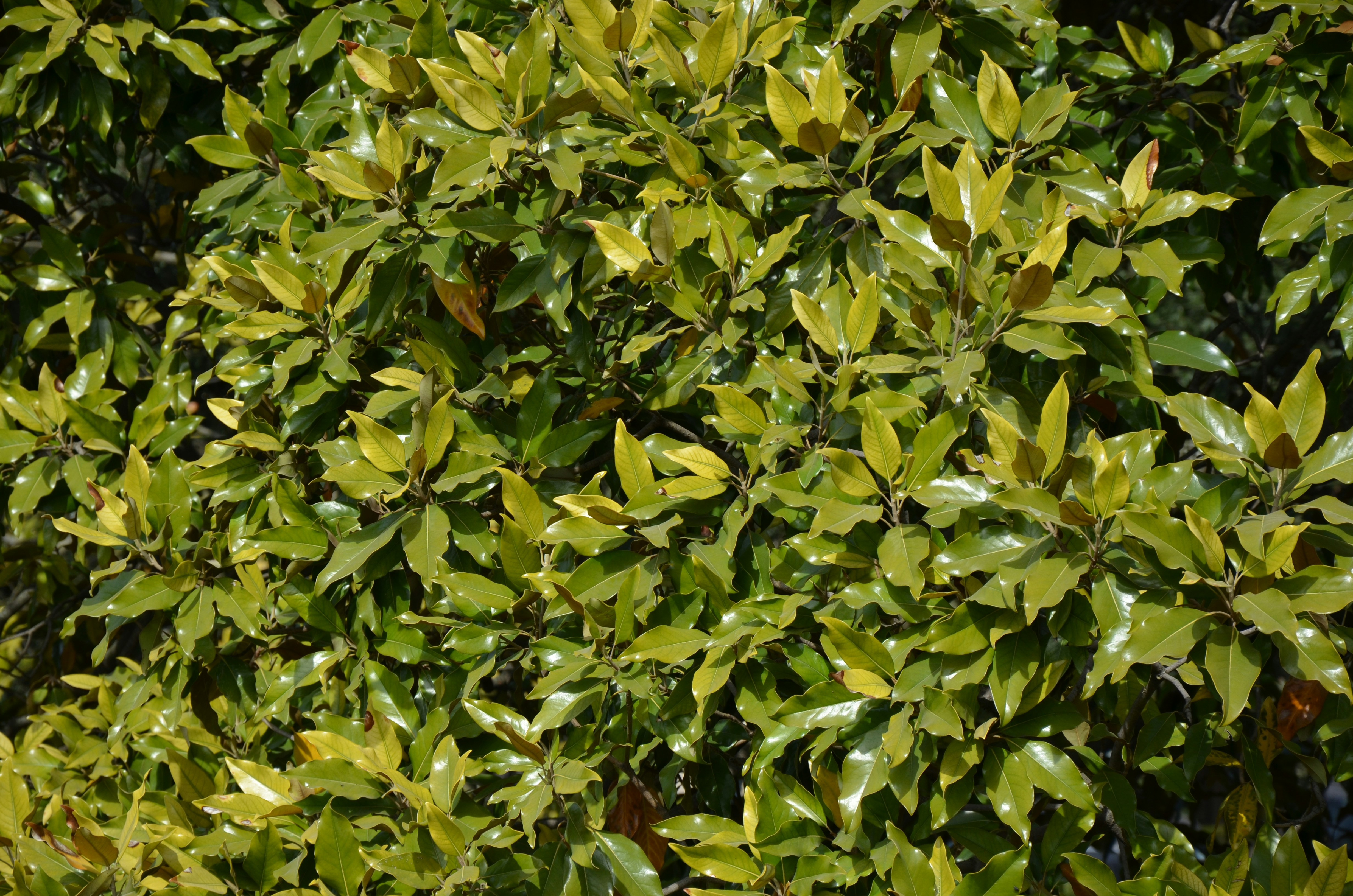 Photo by jaspercampbell