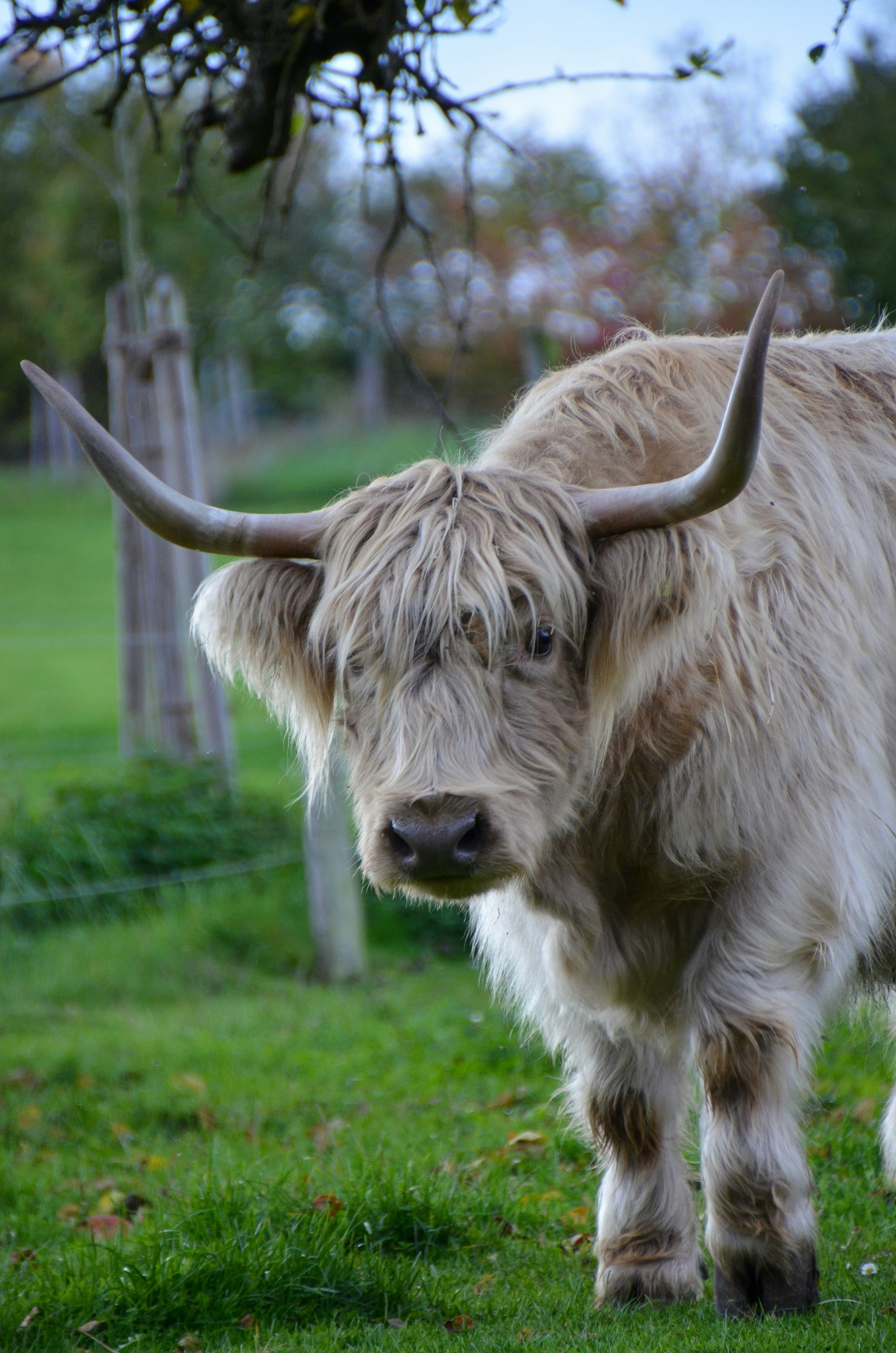 Photo by egalschillerwardichter