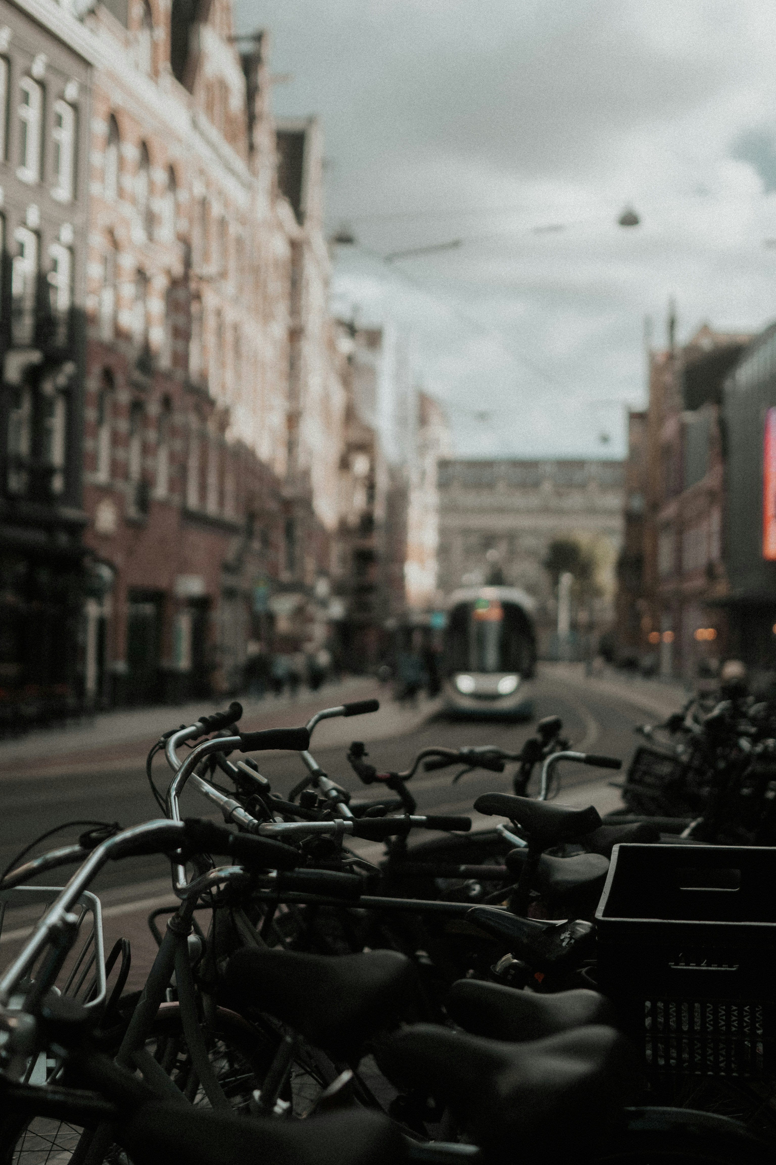 Photo by bryanbrittos