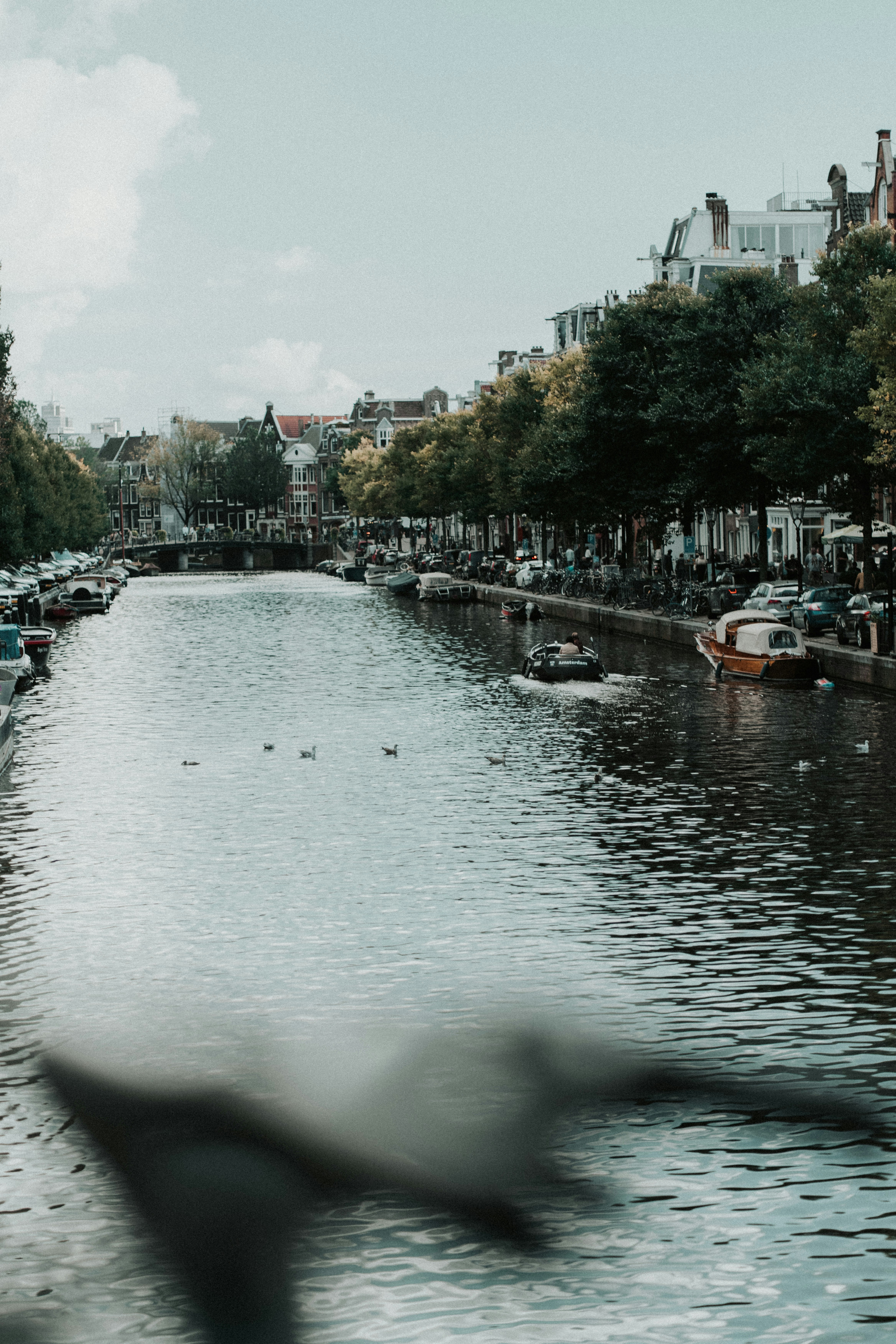 Photo by bryanbrittos