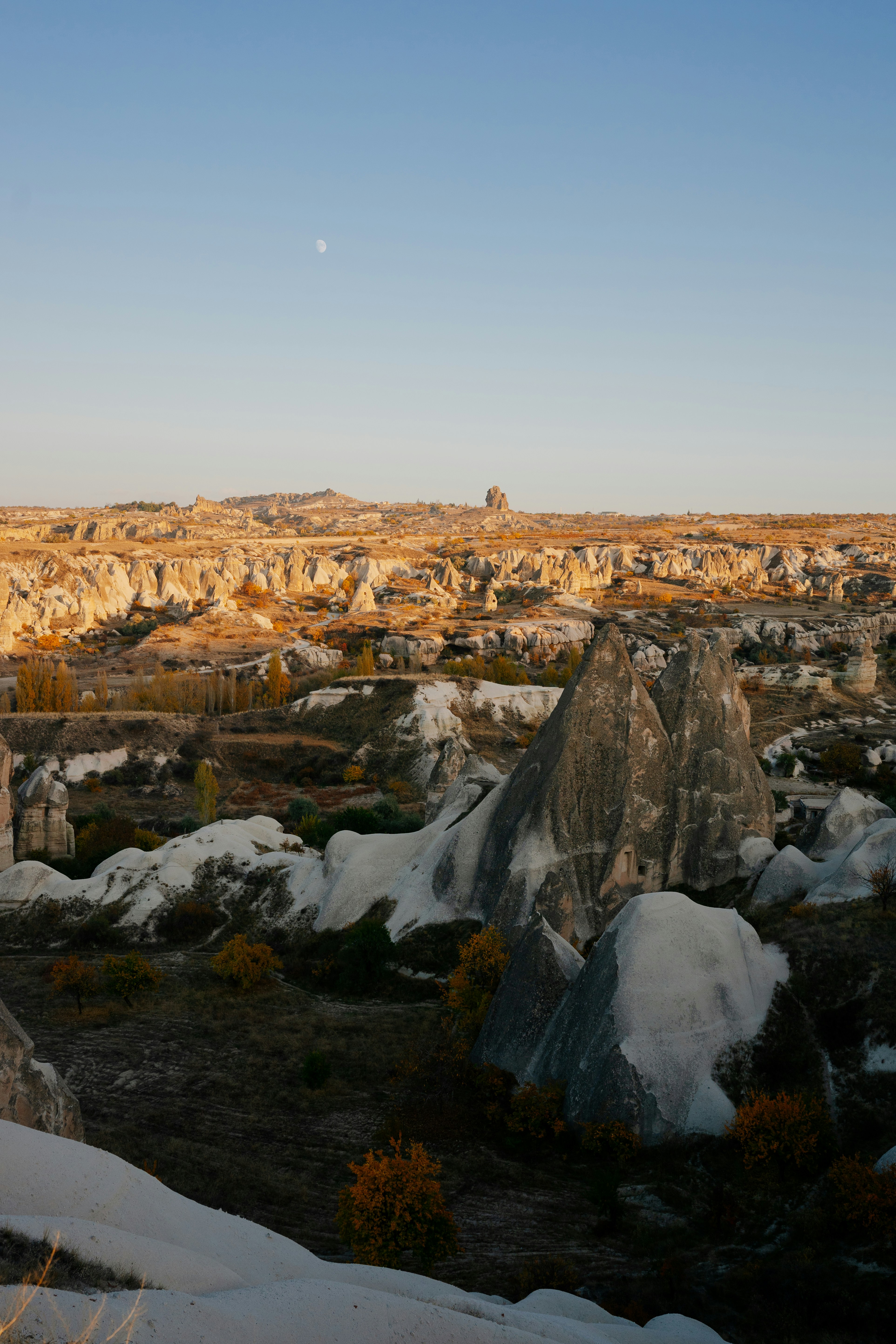 Photo by igorharrier