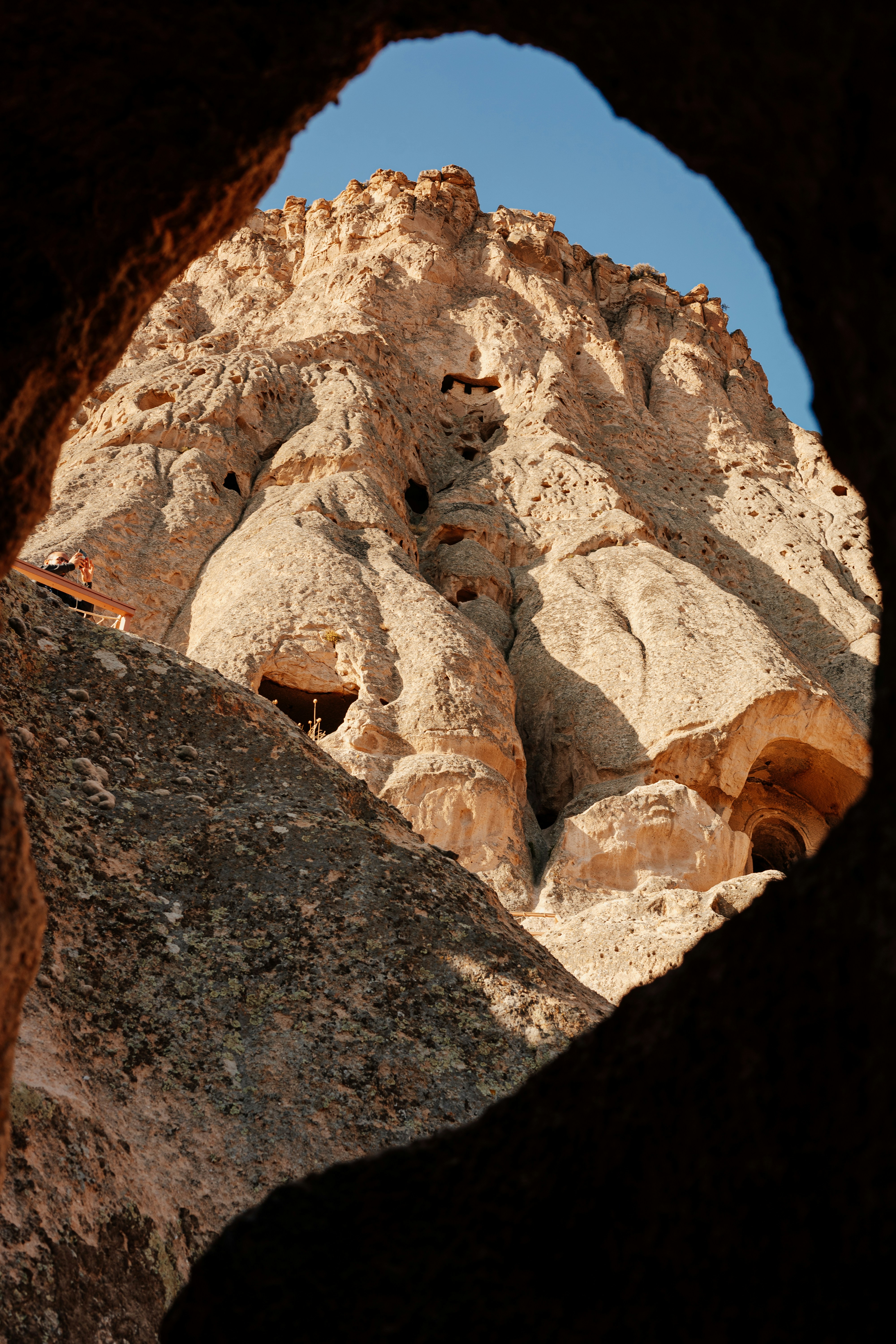 Photo by igorharrier