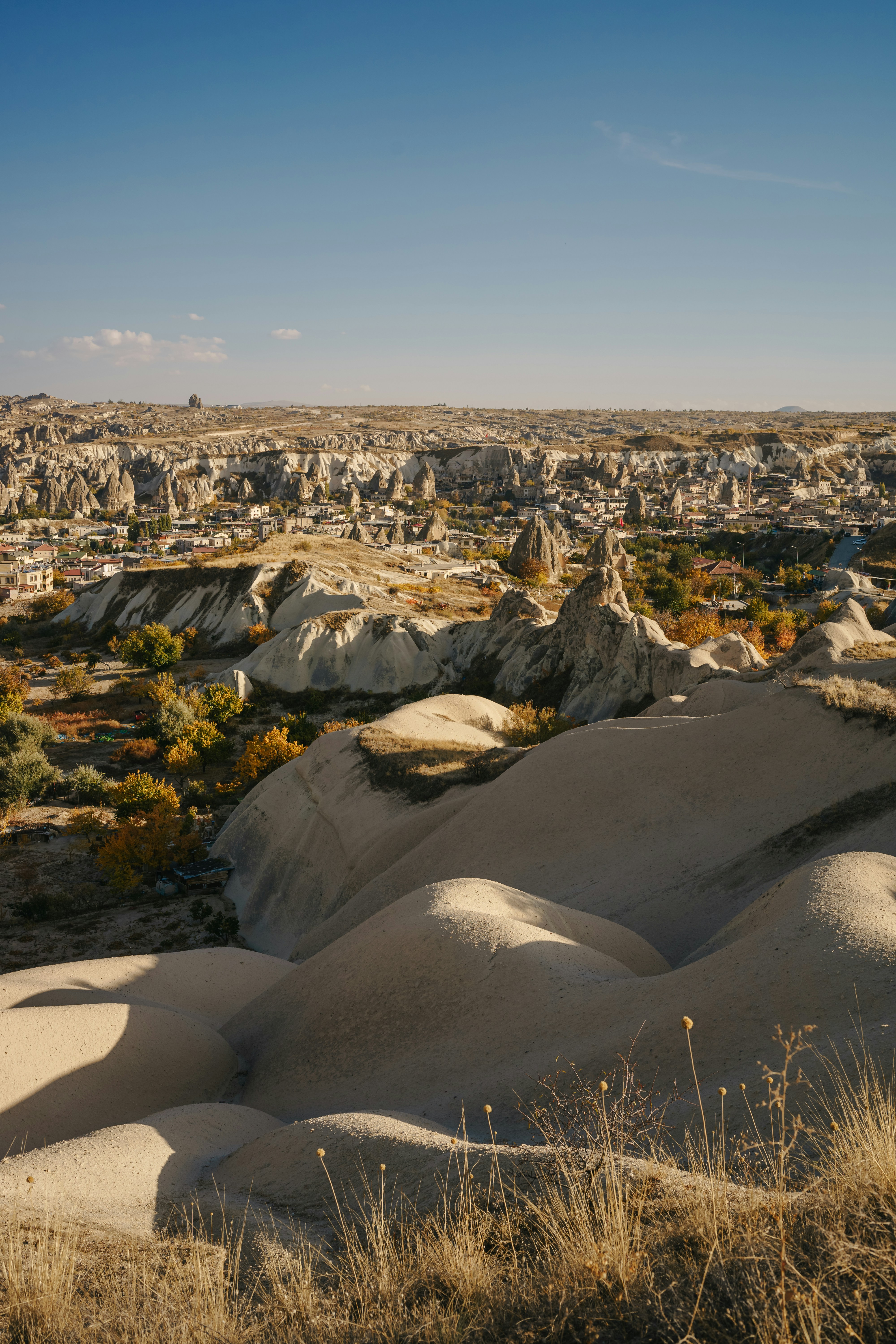 Photo by igorharrier