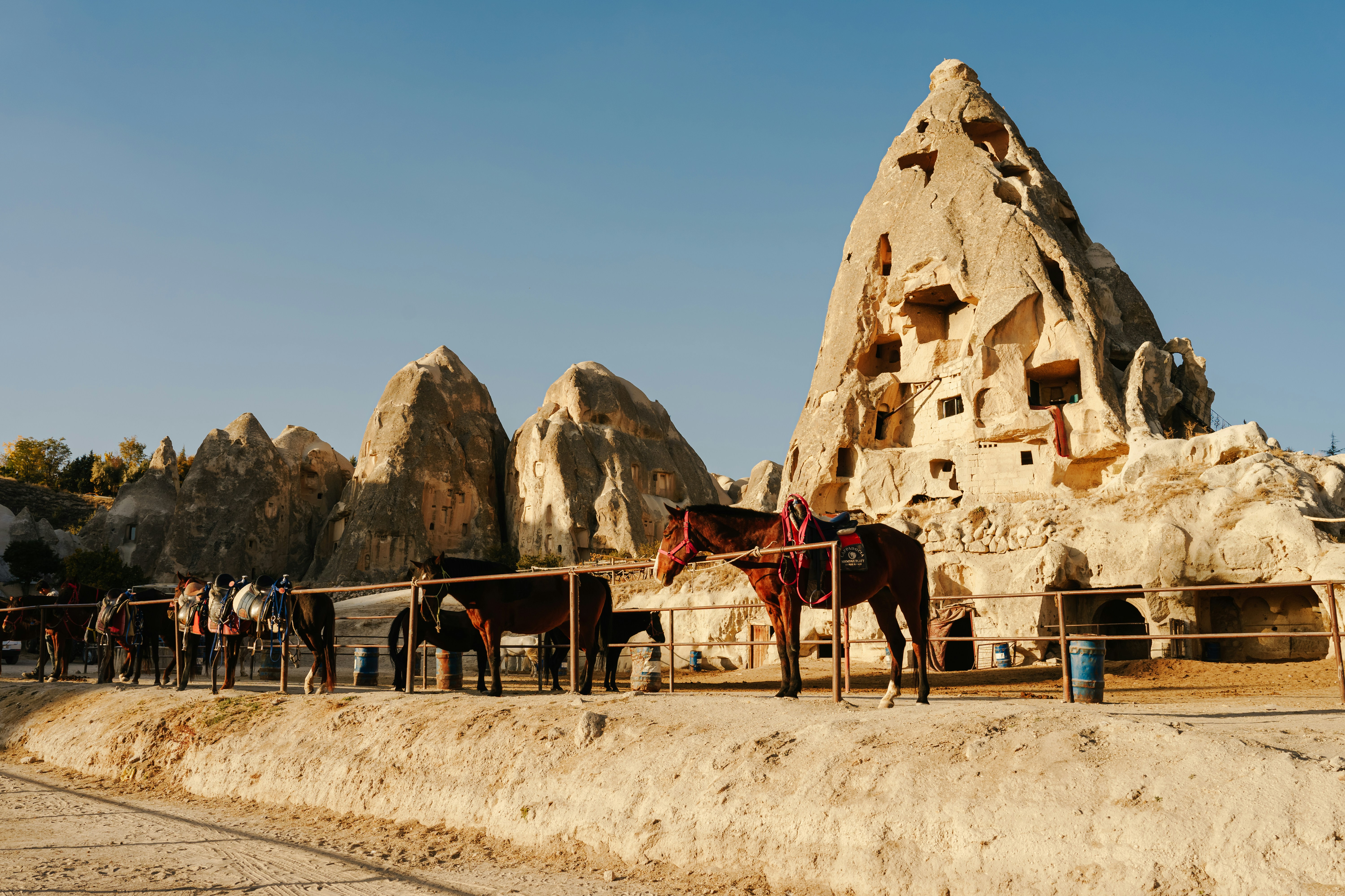 Photo by igorharrier