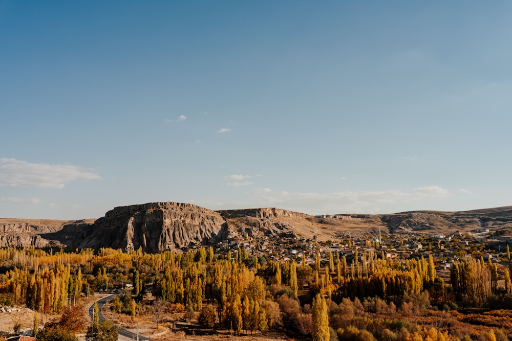 a landscape with trees and mountains in the background