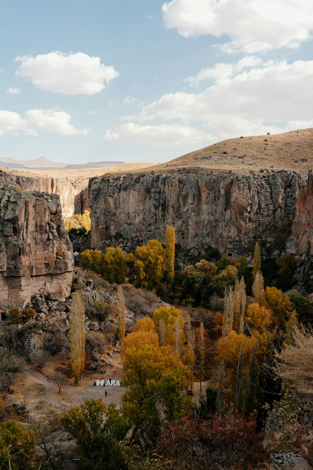 a rocky cliff with trees and bushes