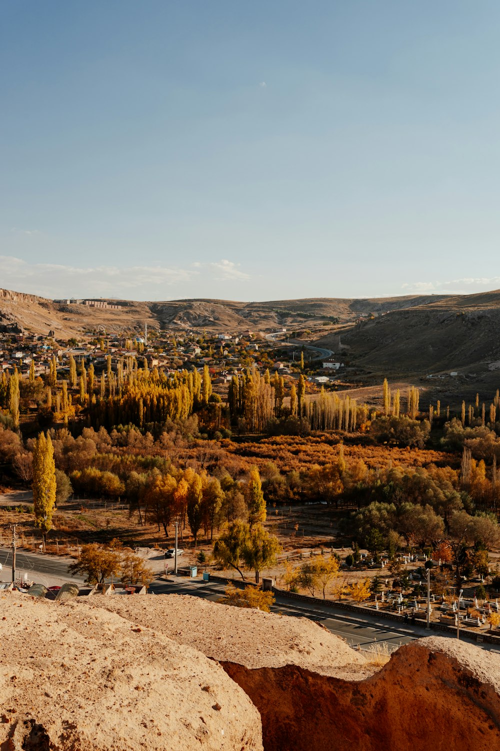 Un paisaje con árboles y colinas