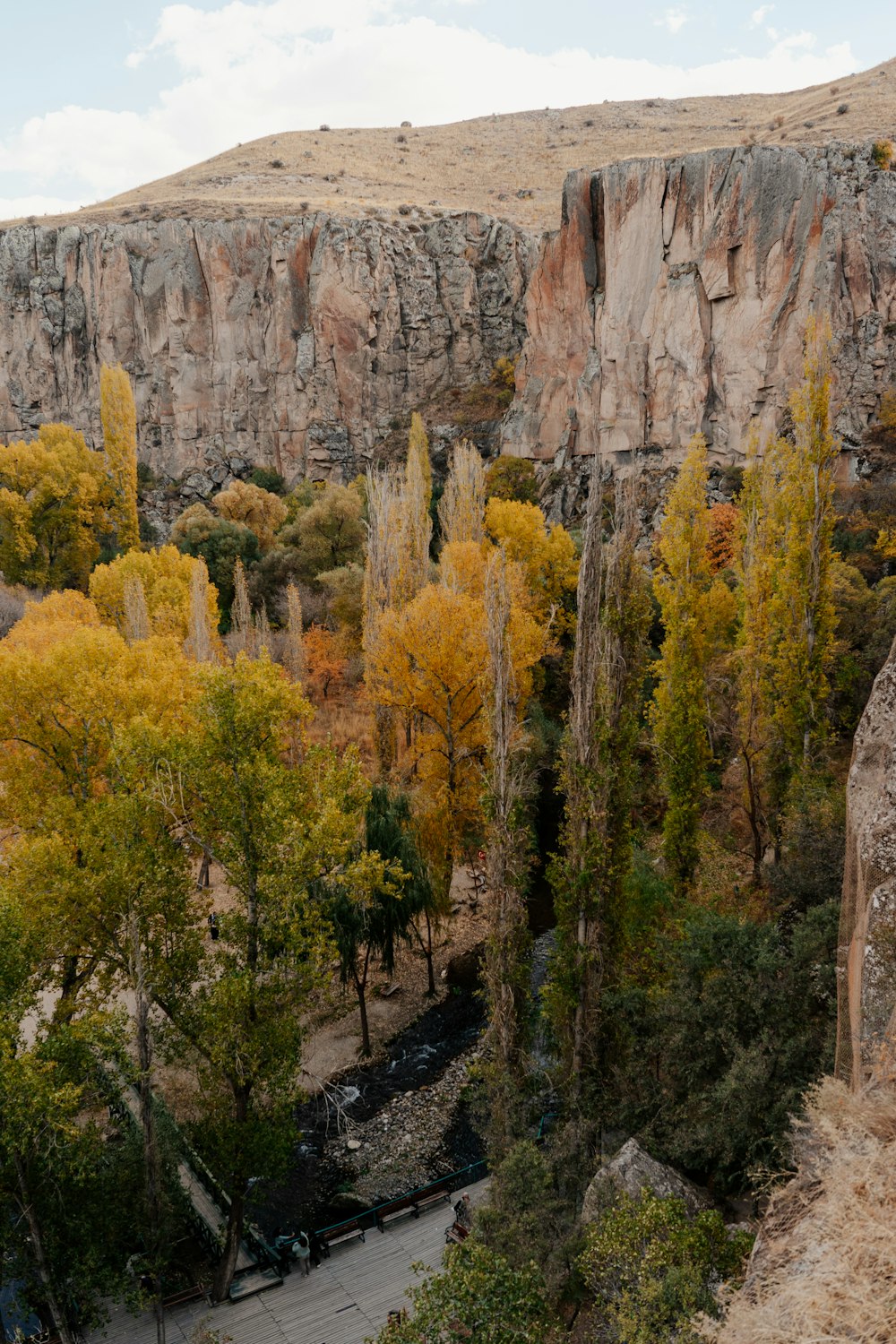 a road going through a canyon