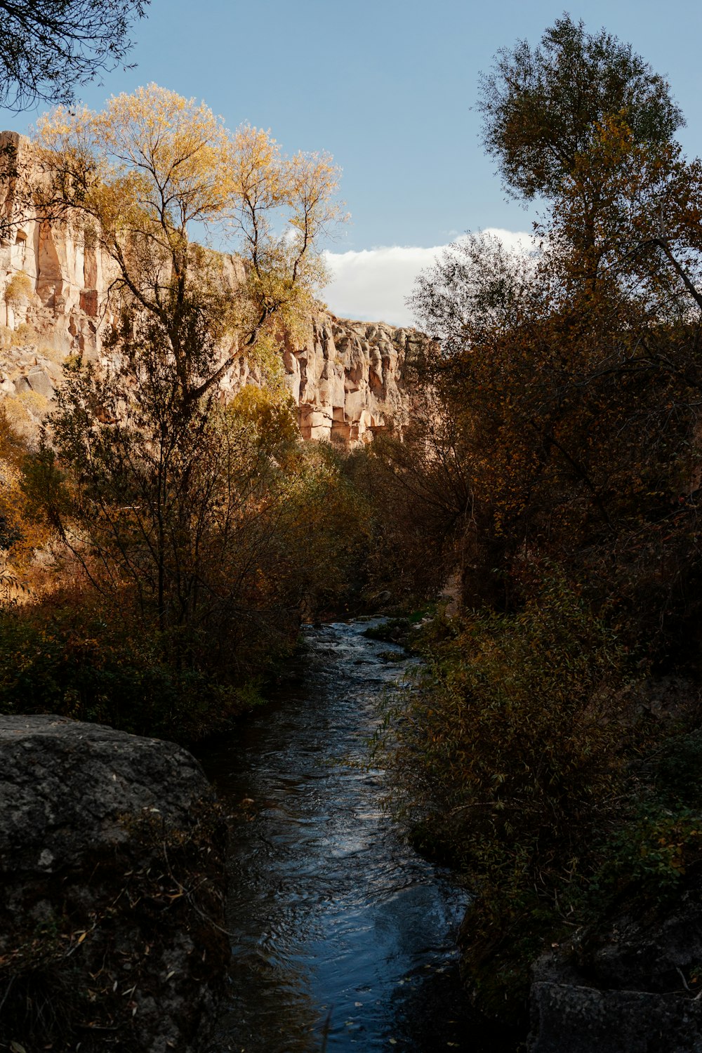 a river running through a canyon