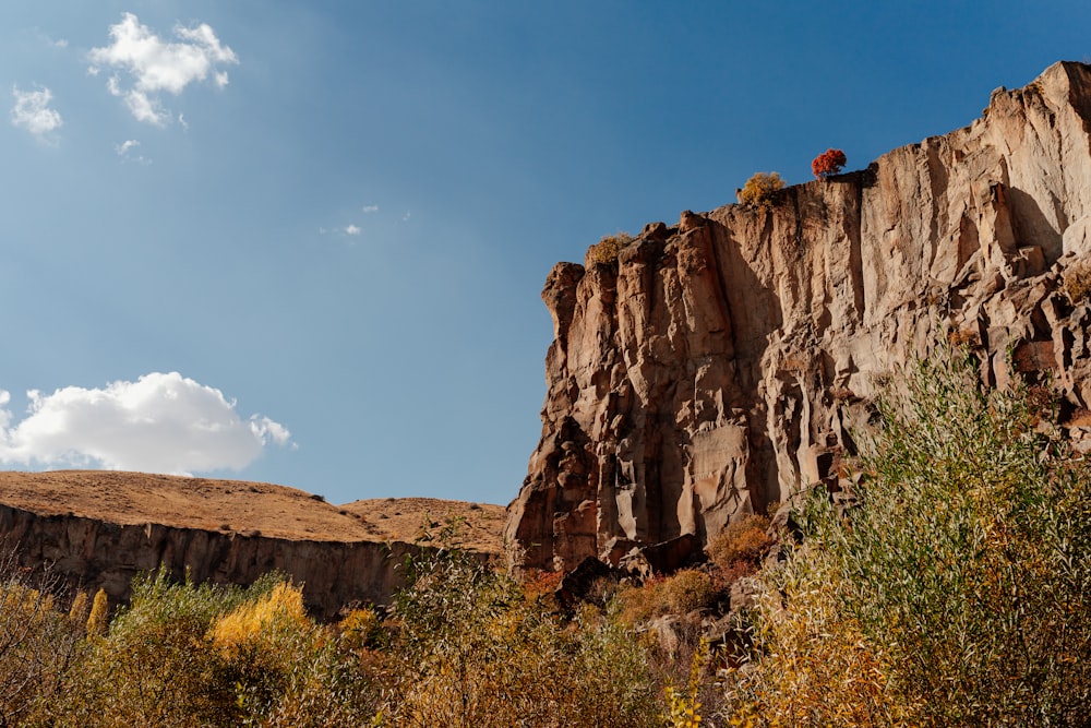 a person standing on a cliff