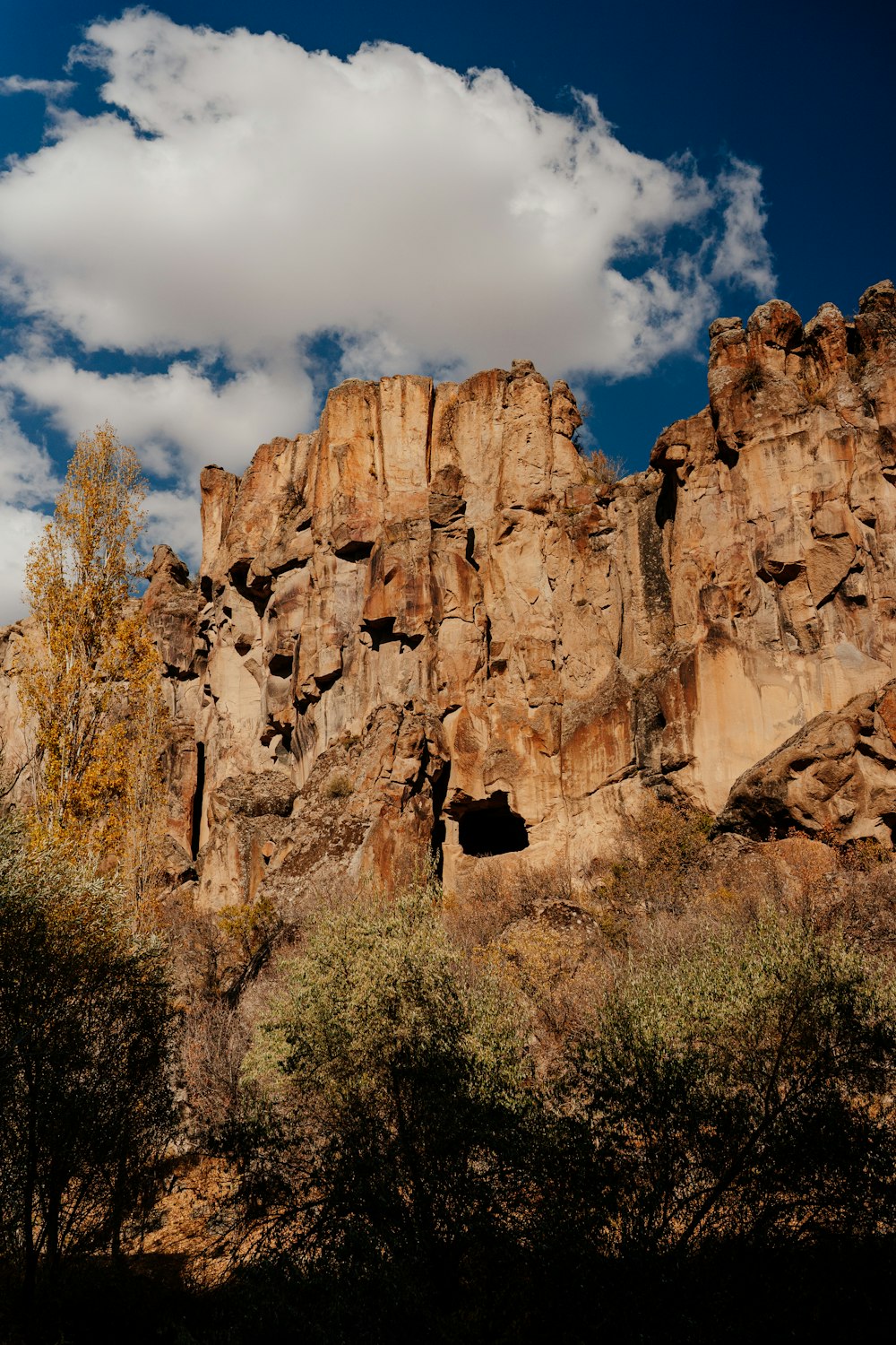 a large rock formation with trees around it