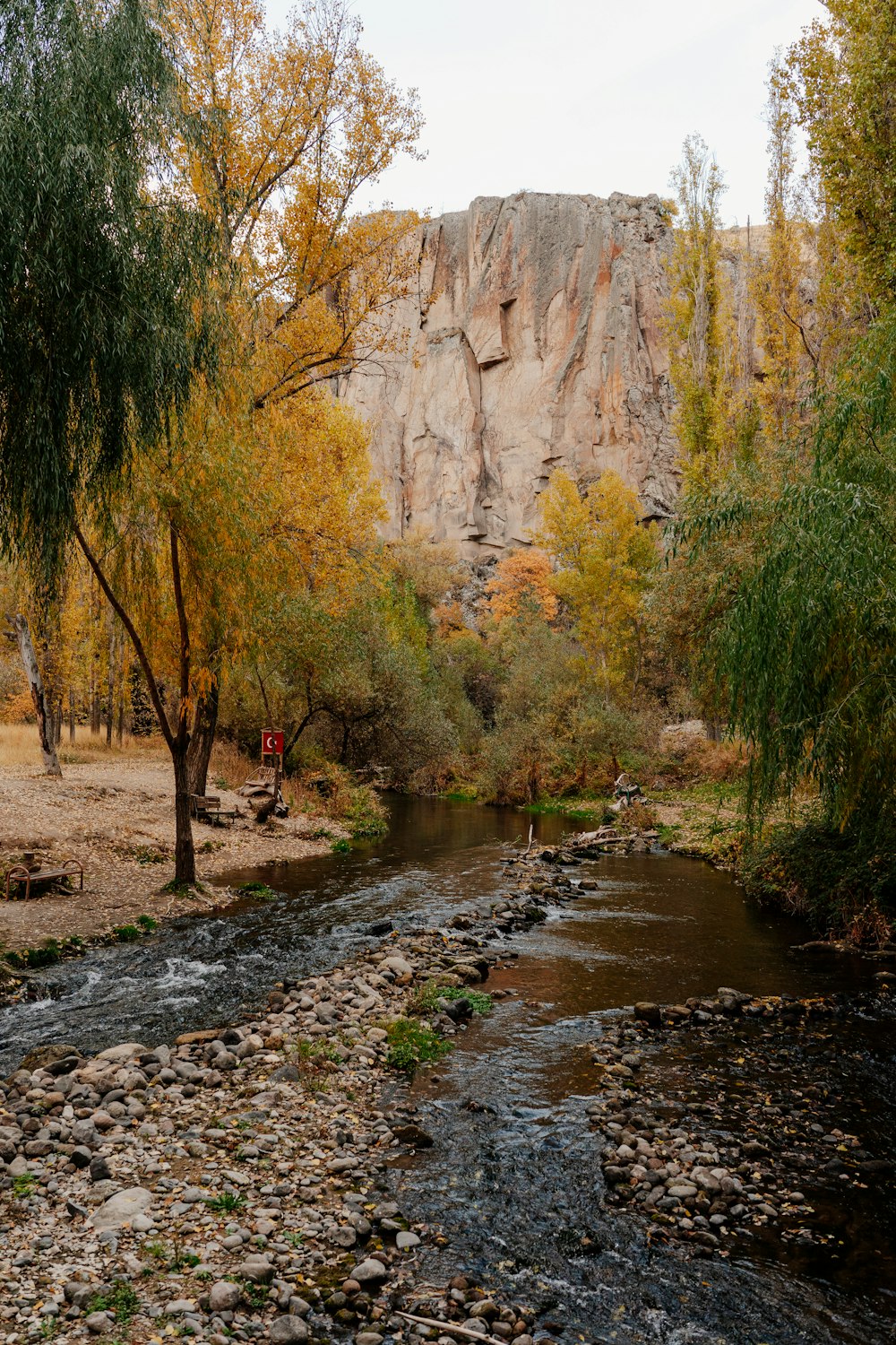 a river with rocks and trees