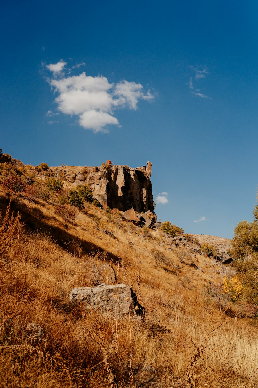 a rocky cliff with trees and blue sky