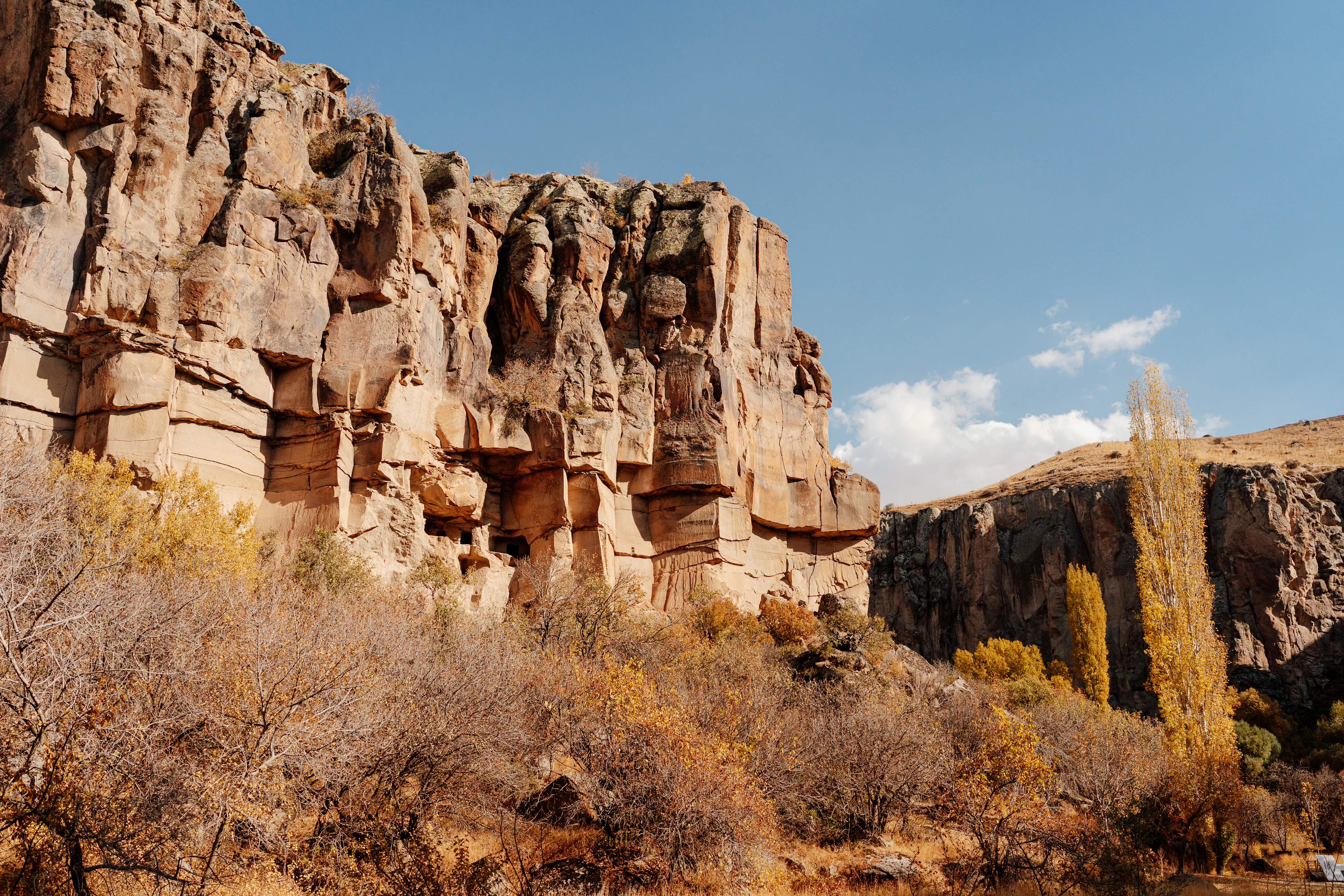 An autumn cliff in the Ihlara Valley with carved cave openings above yellowing trees, Cappadocia