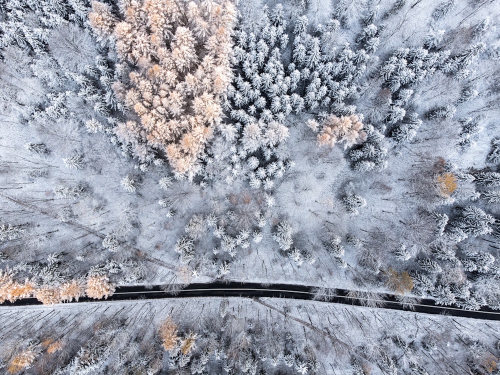 Un camino con nieve a un lado