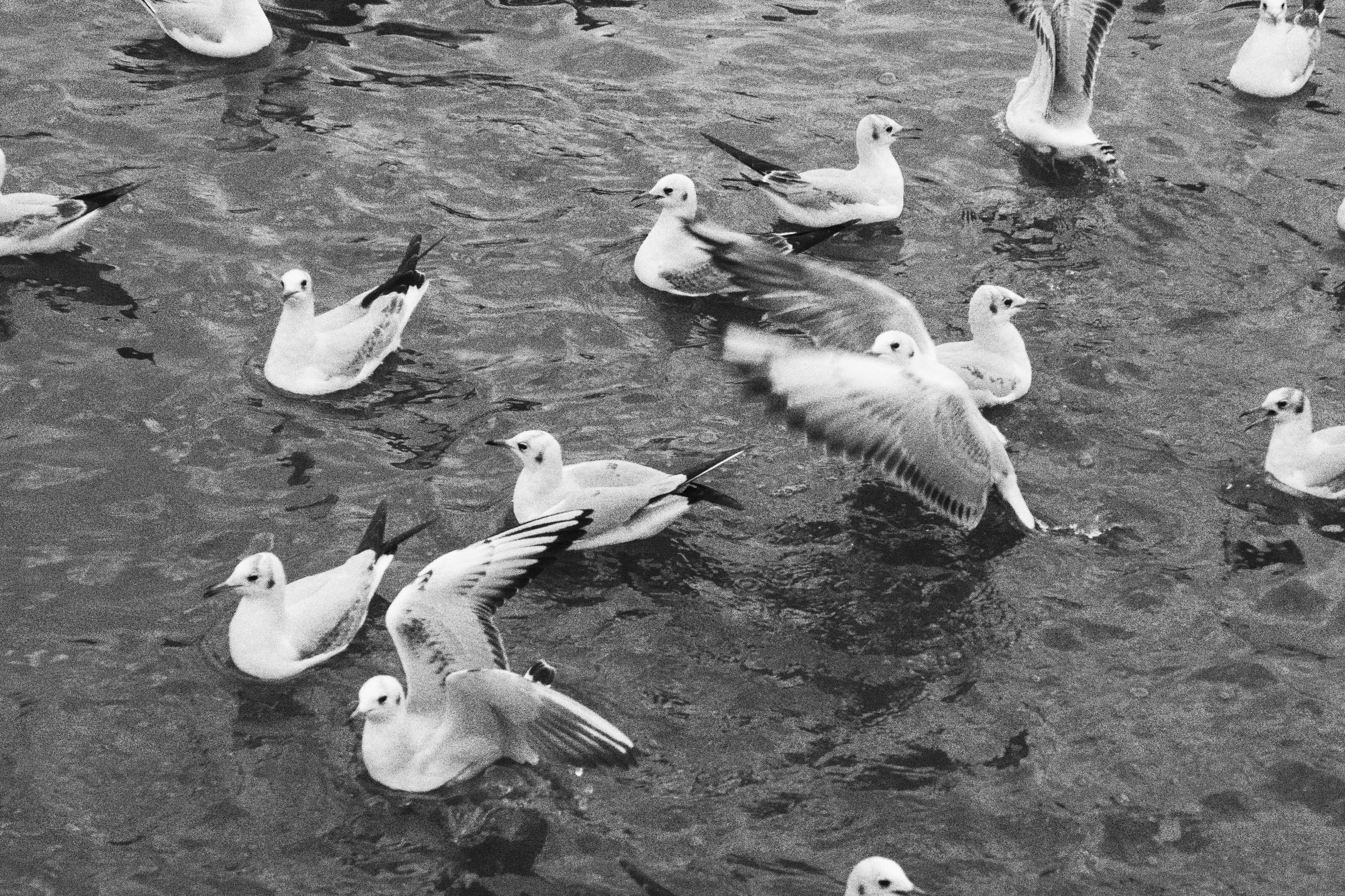 Photo by basgicilarelif