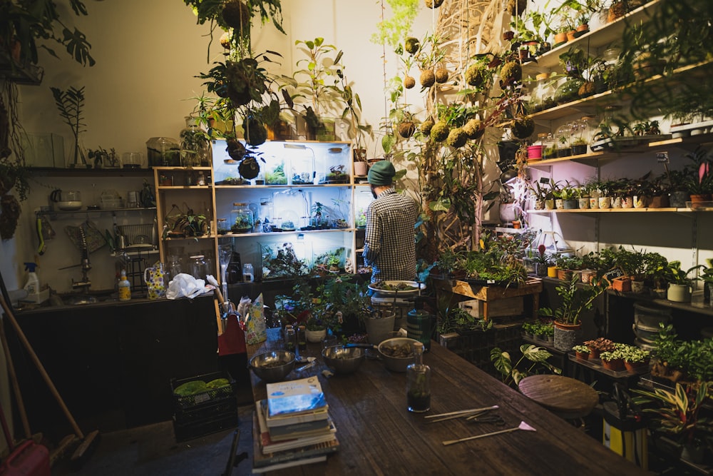 a room with shelves and plants