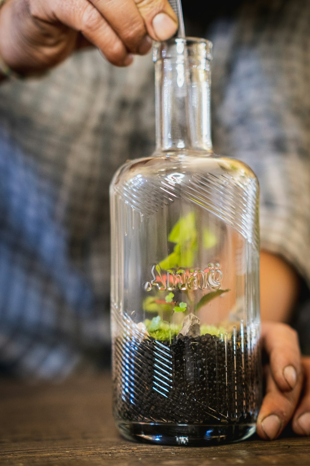 a hand holding a clear bottle with a green plant inside