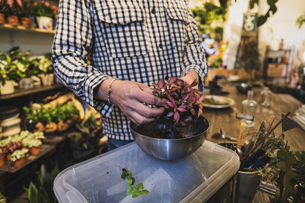 a person holding a pot of flowers