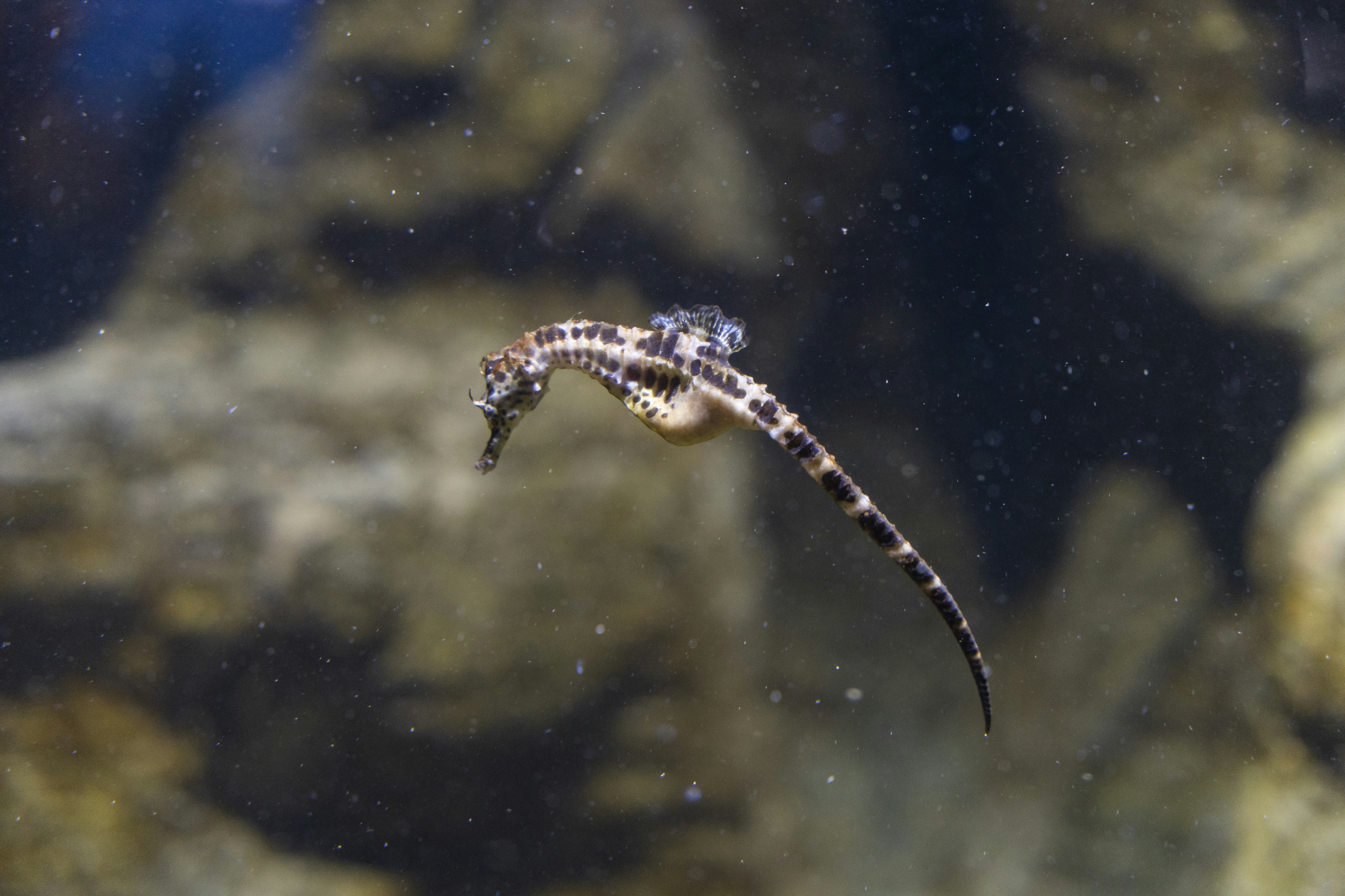 woman wearing yellow long-sleeved dress under white clouds and blue sky during daytime
