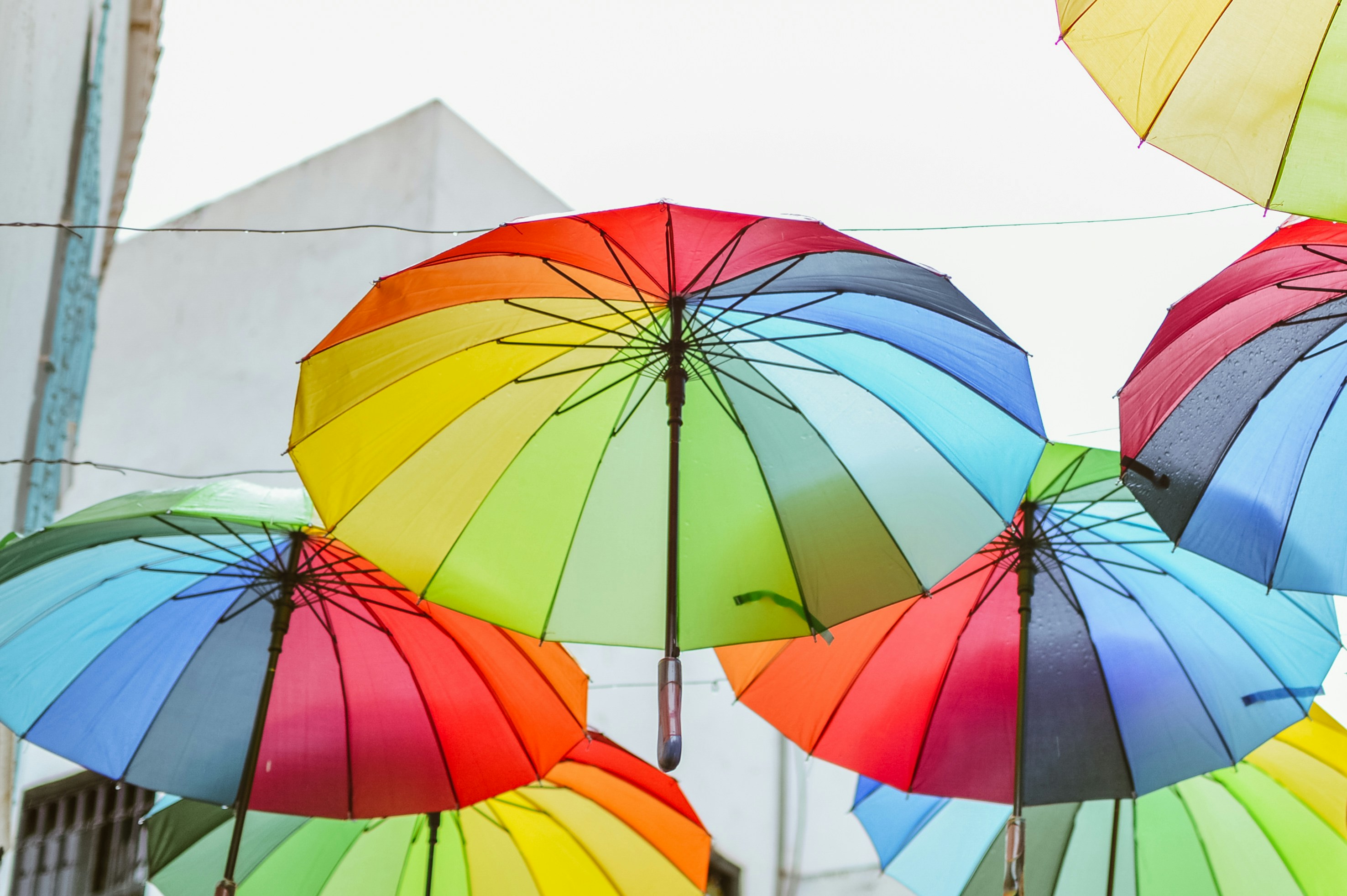 Photo by chermitovee