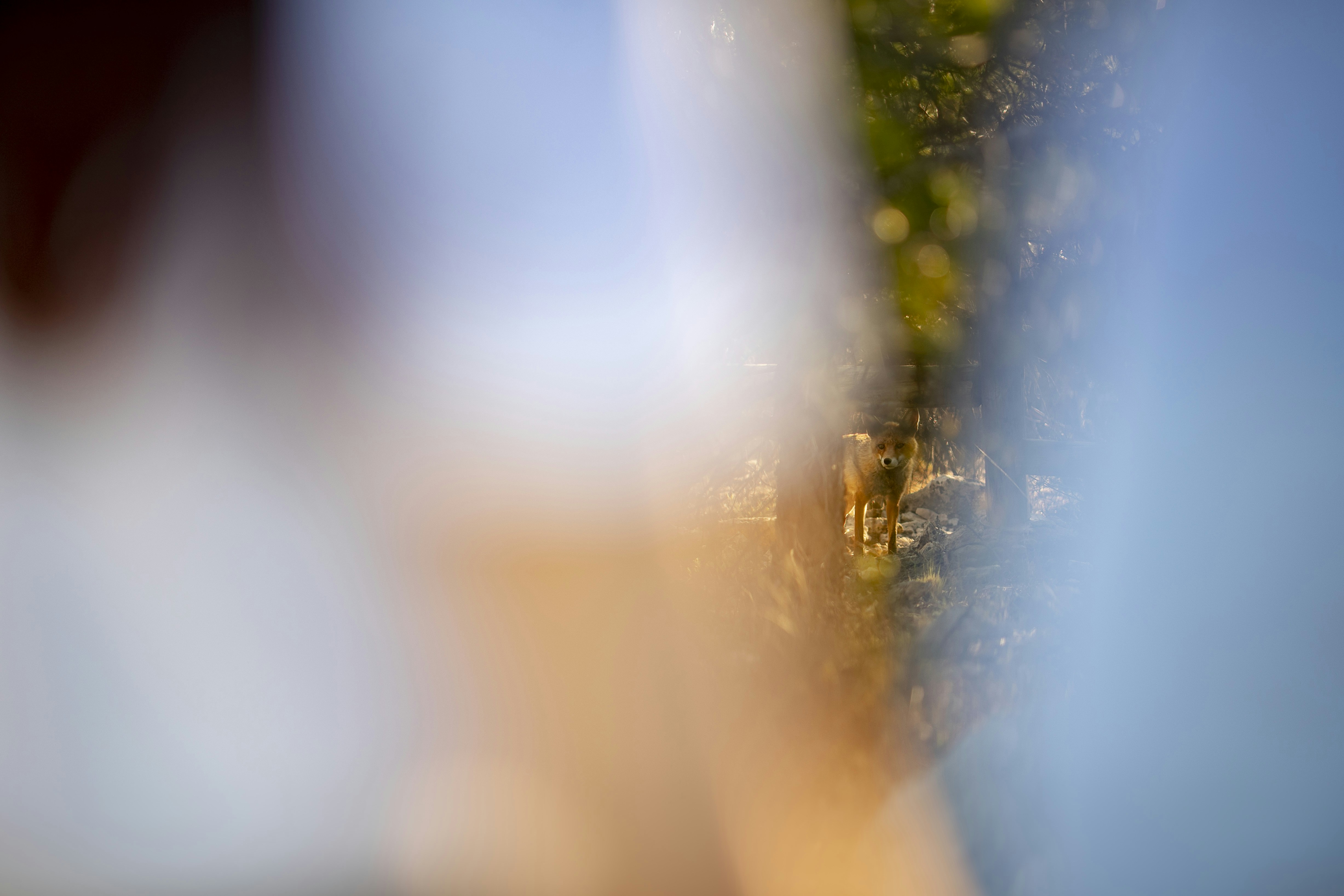 Photo by ana_morales