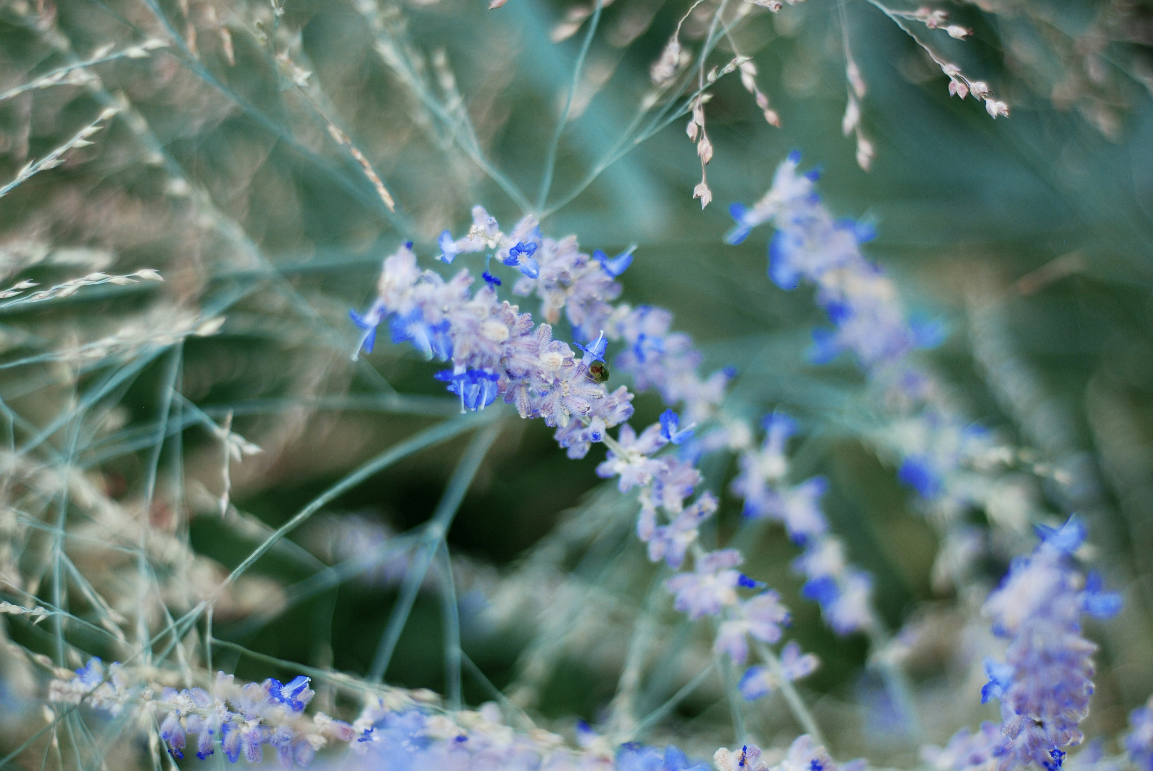 Photo by kovalskihelga