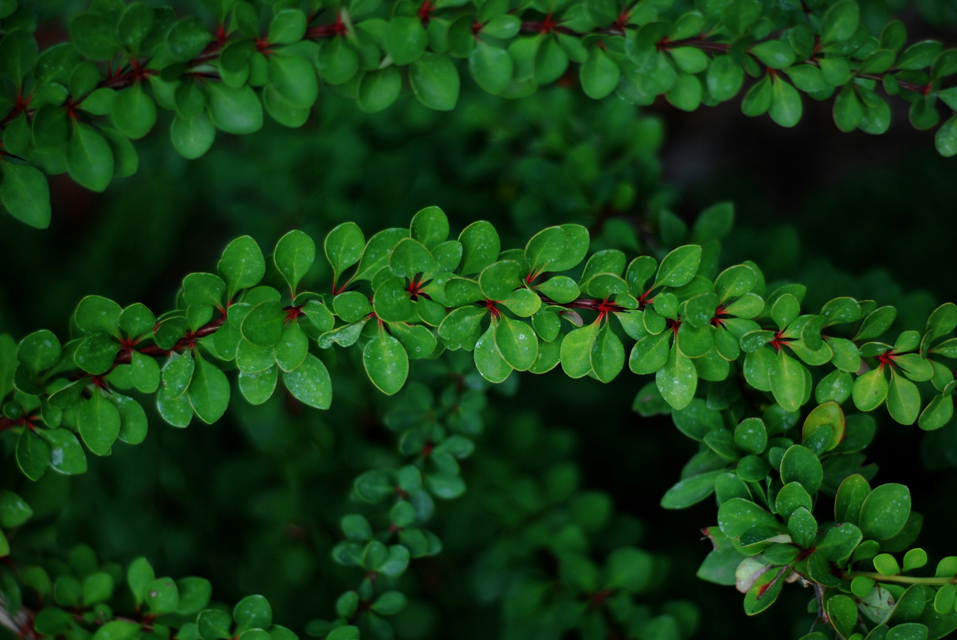 Photo by kovalskihelga