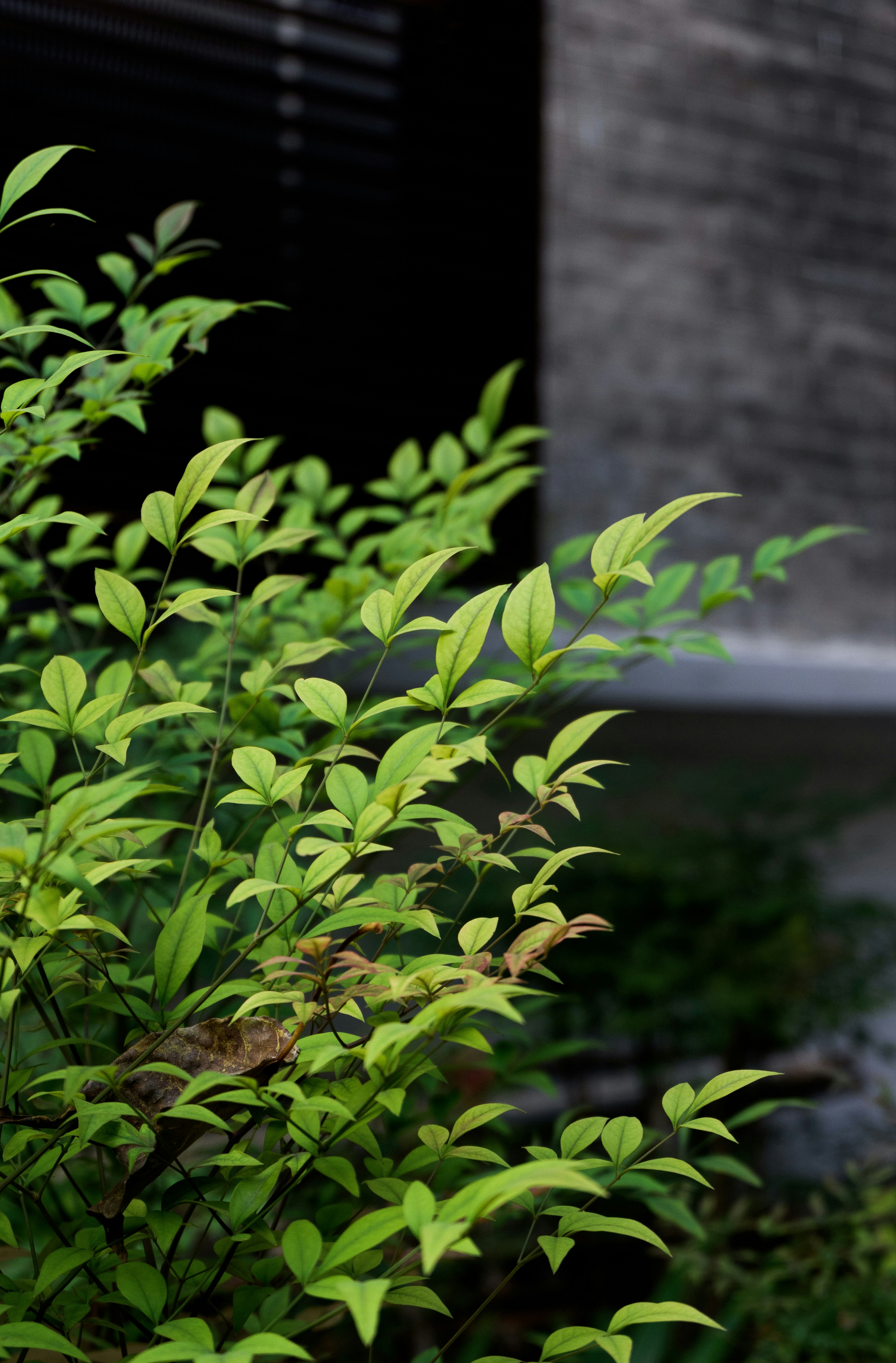 Photo by sunriseking