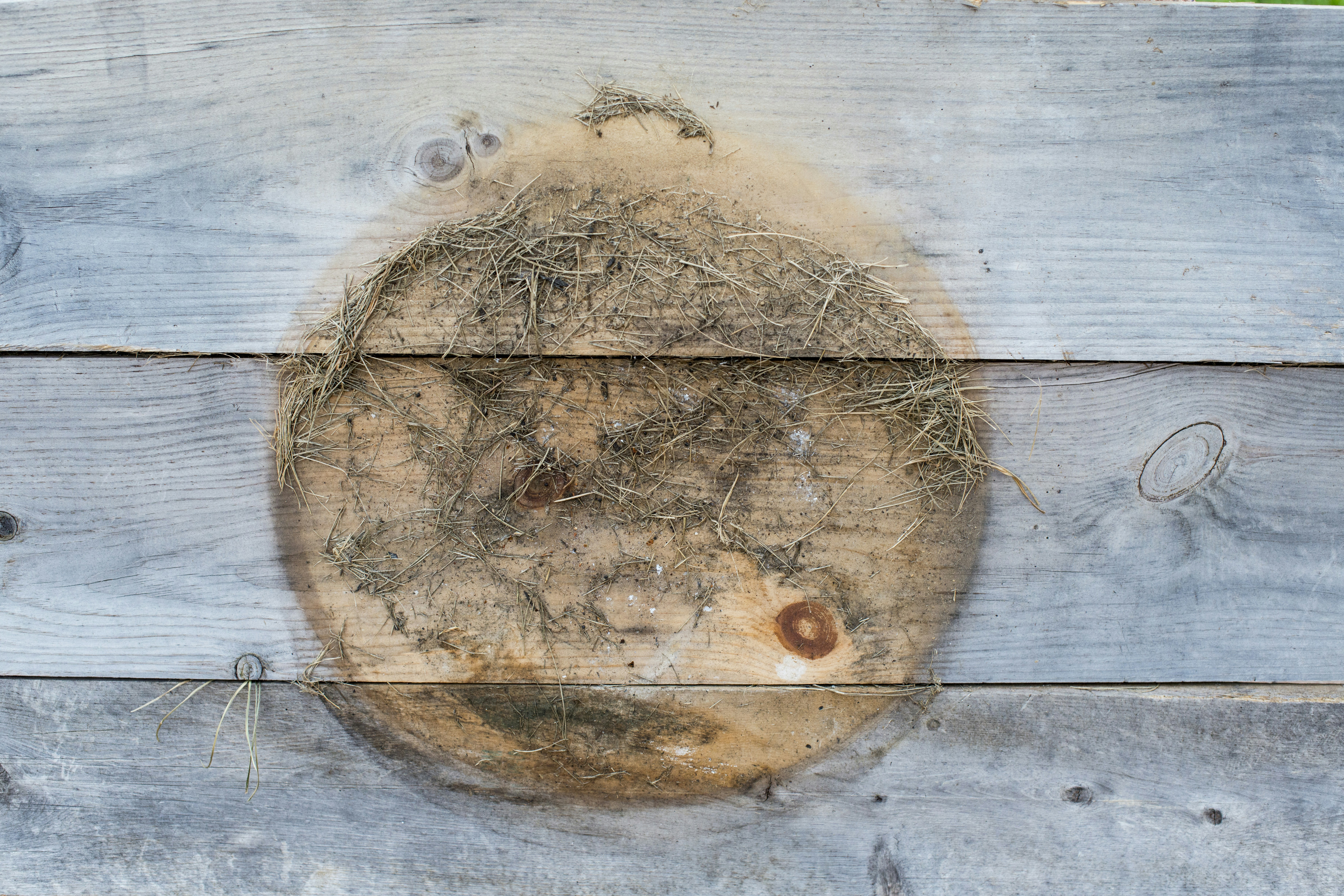 un trozo de madera con una cara tallada en él