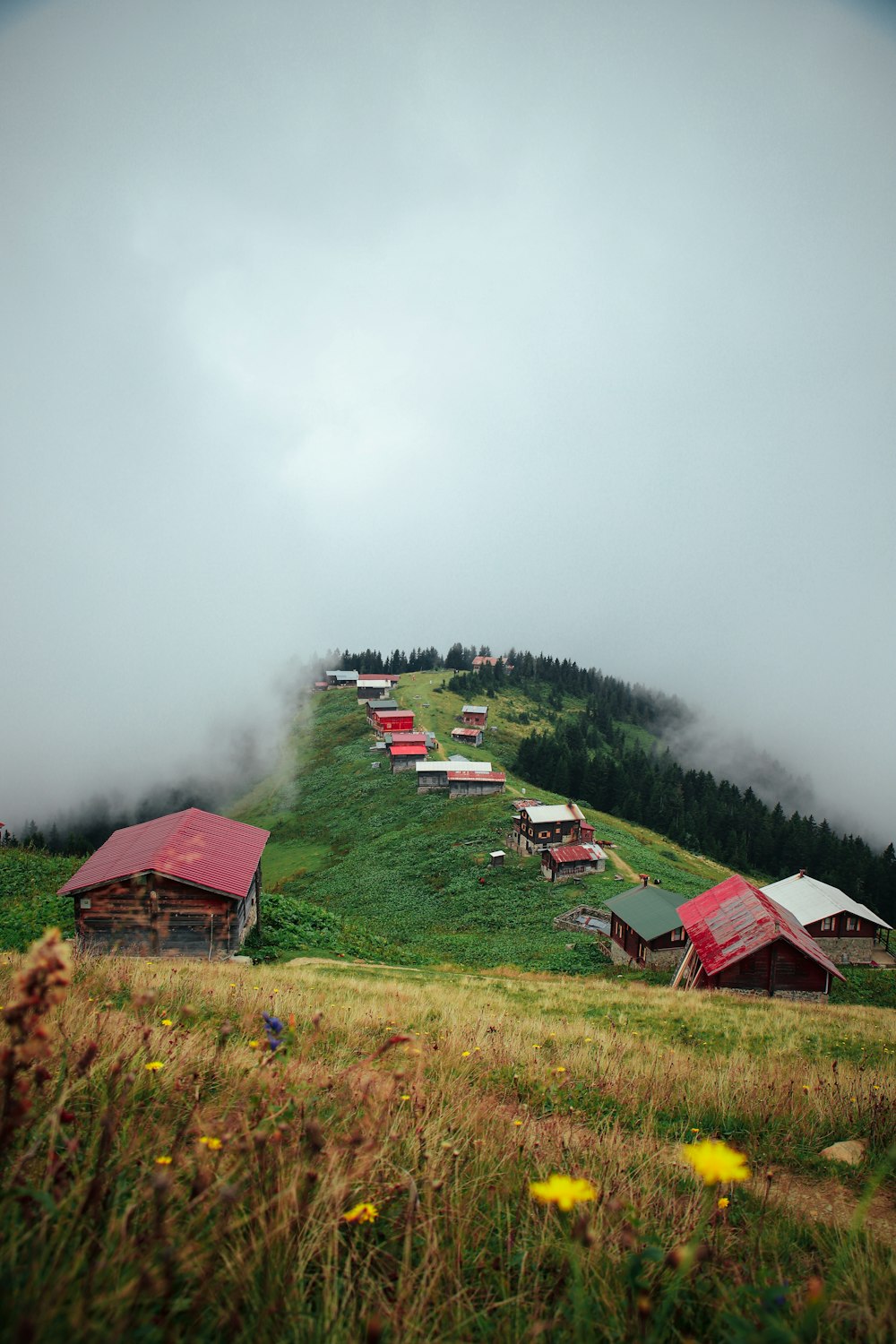 a group of houses on a hill