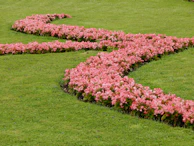 A beautifully landscaped garden path winding through vibrant flowers and manicured shrubs.