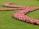A serene garden designed by Lady and the Land showcasing vibrant flowers.