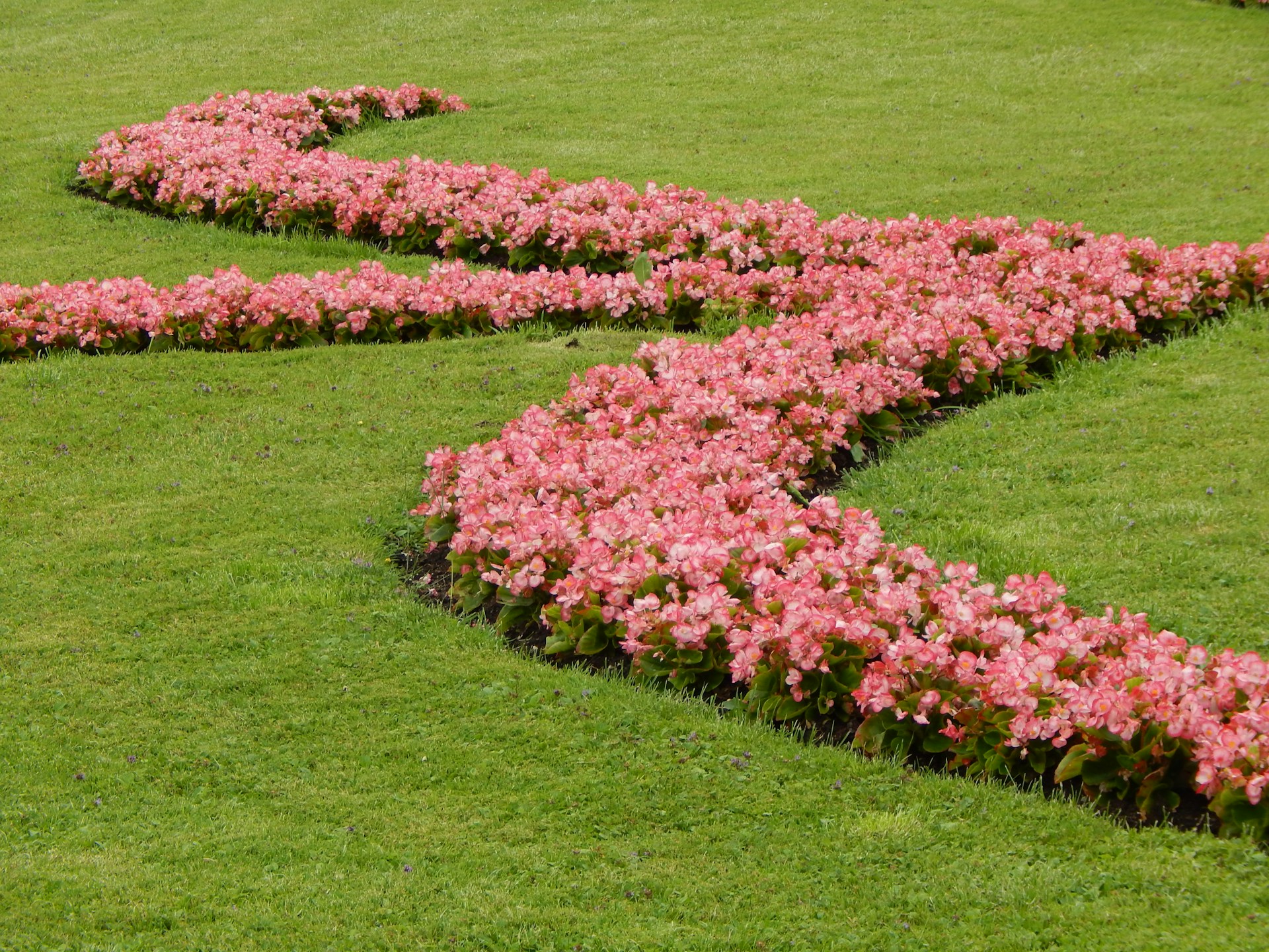 A beautiful, tidy backyard featuring a mix of natural earth-toned stone paths and thriving flower beds maintained with care by Tom Landscapes NZ.