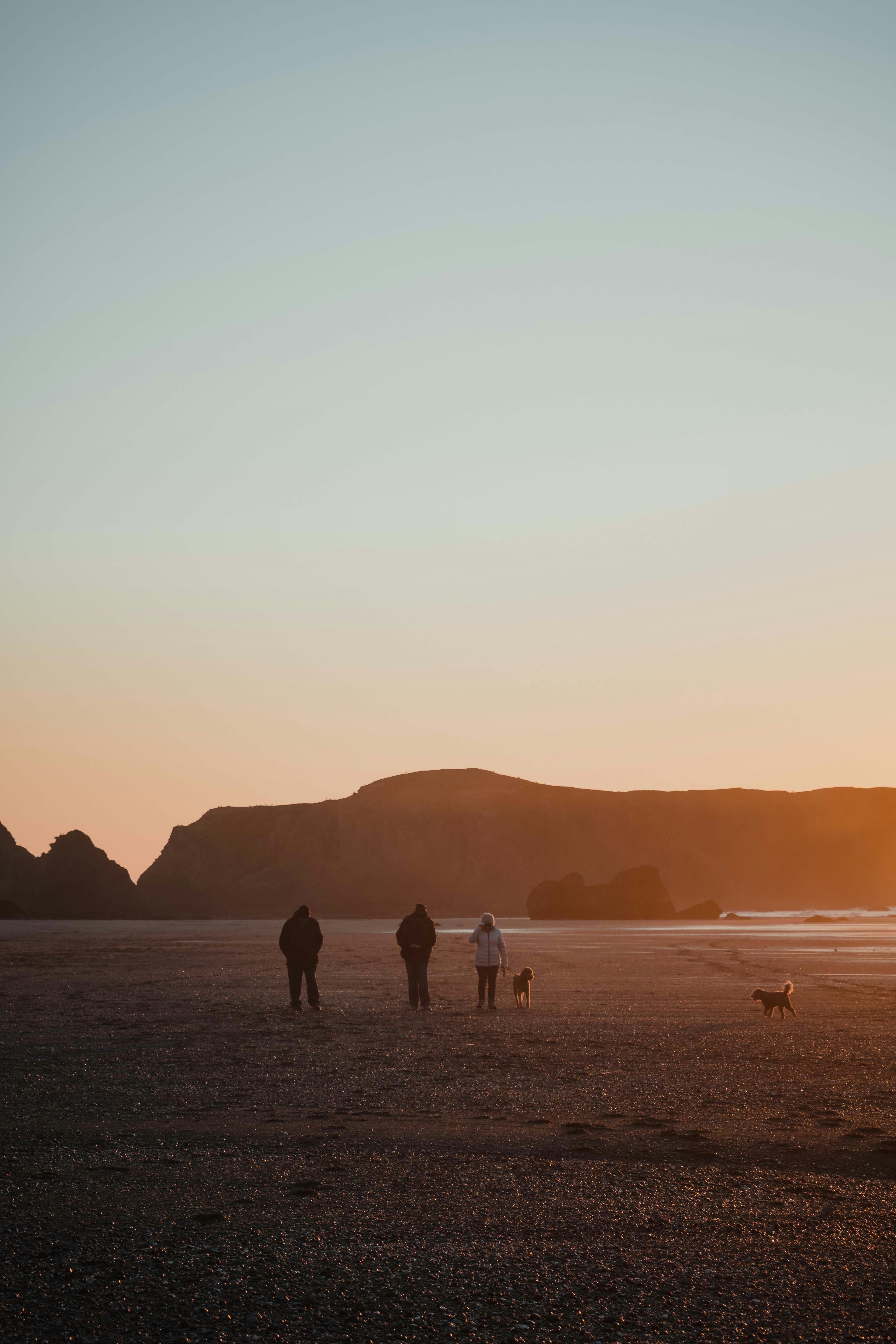 Photo by fineas_anton