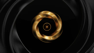 a black and white image of a black and silver circle with a black center