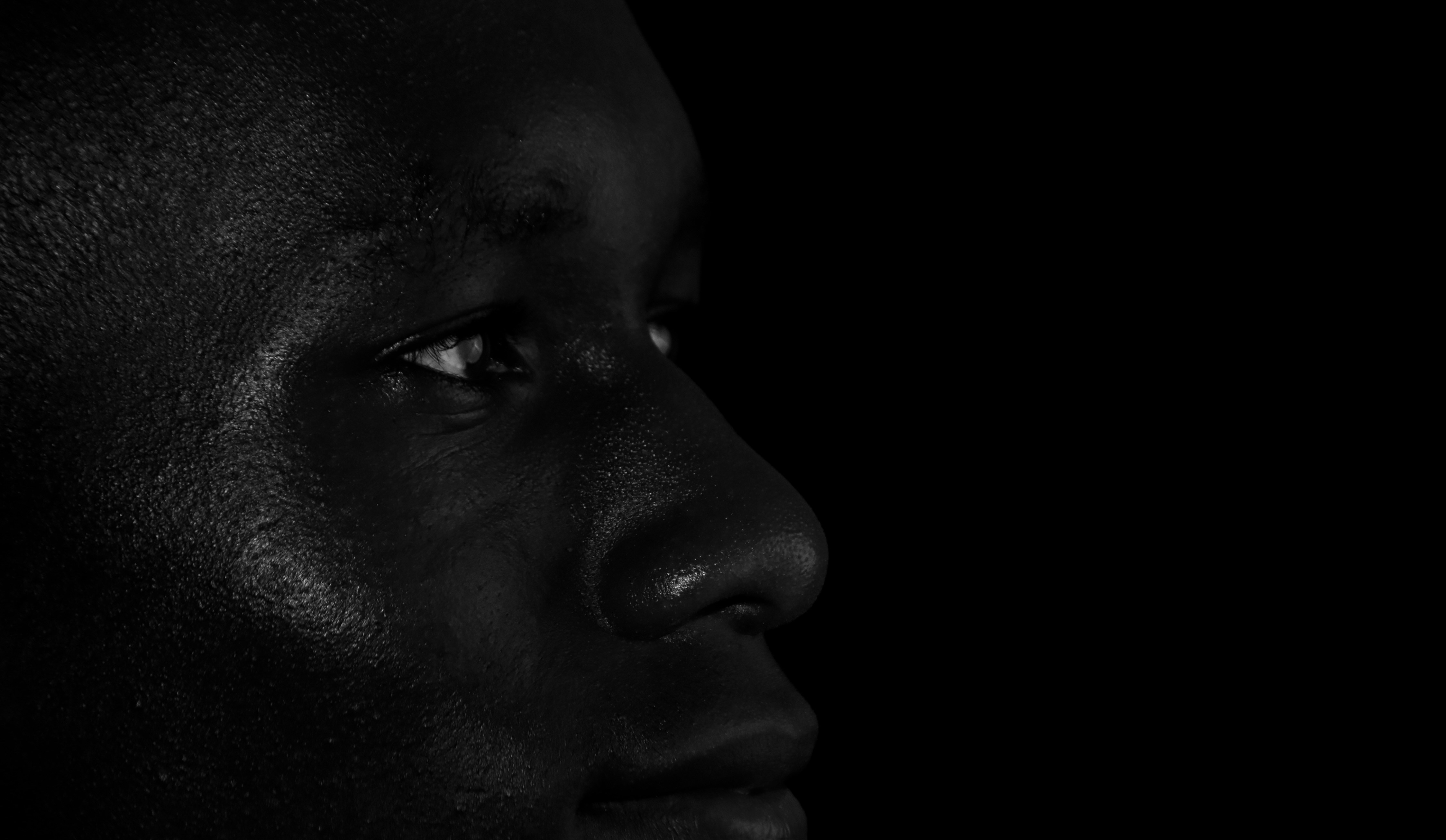 Artwork by Emily White