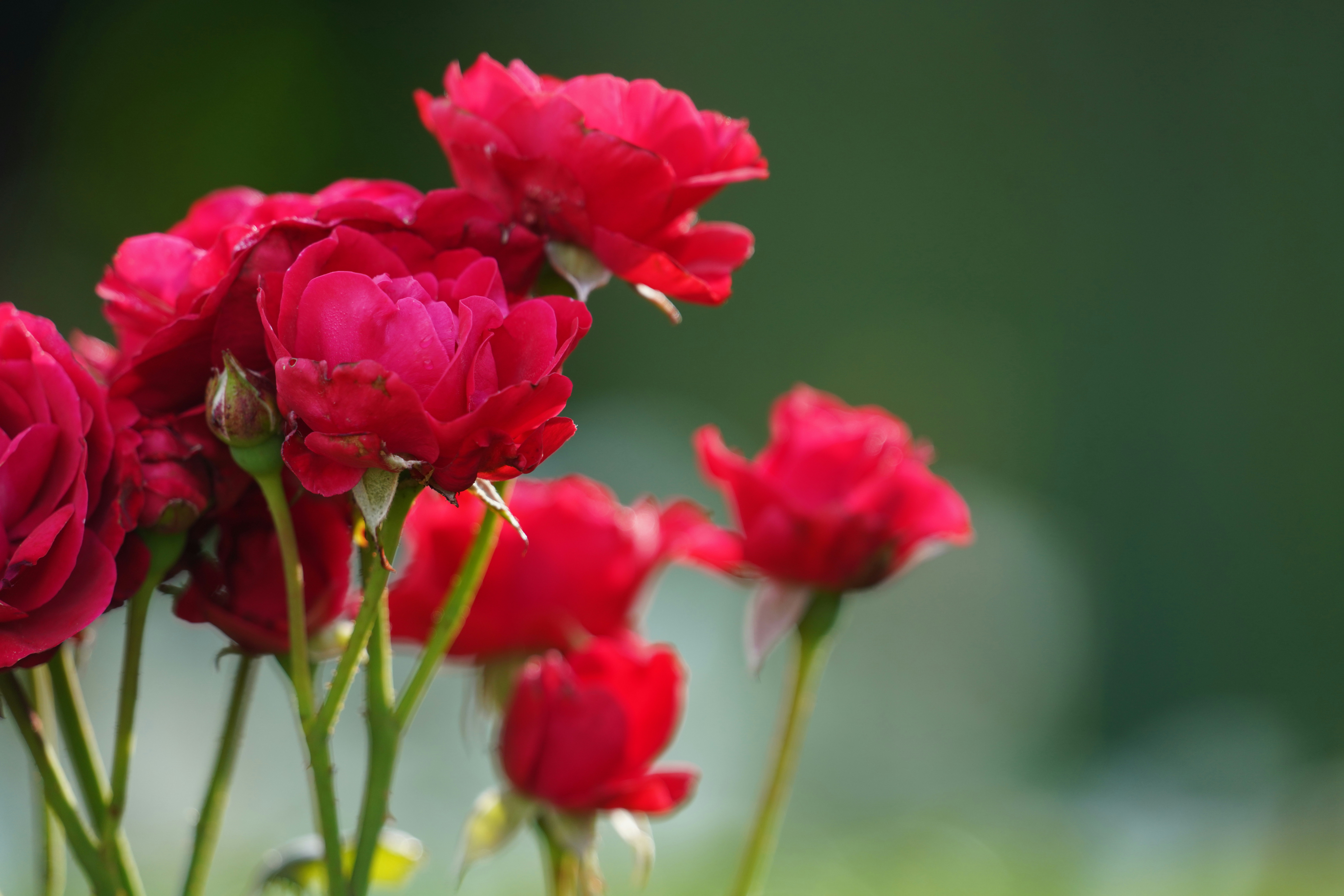 Photo by hooverpaul55