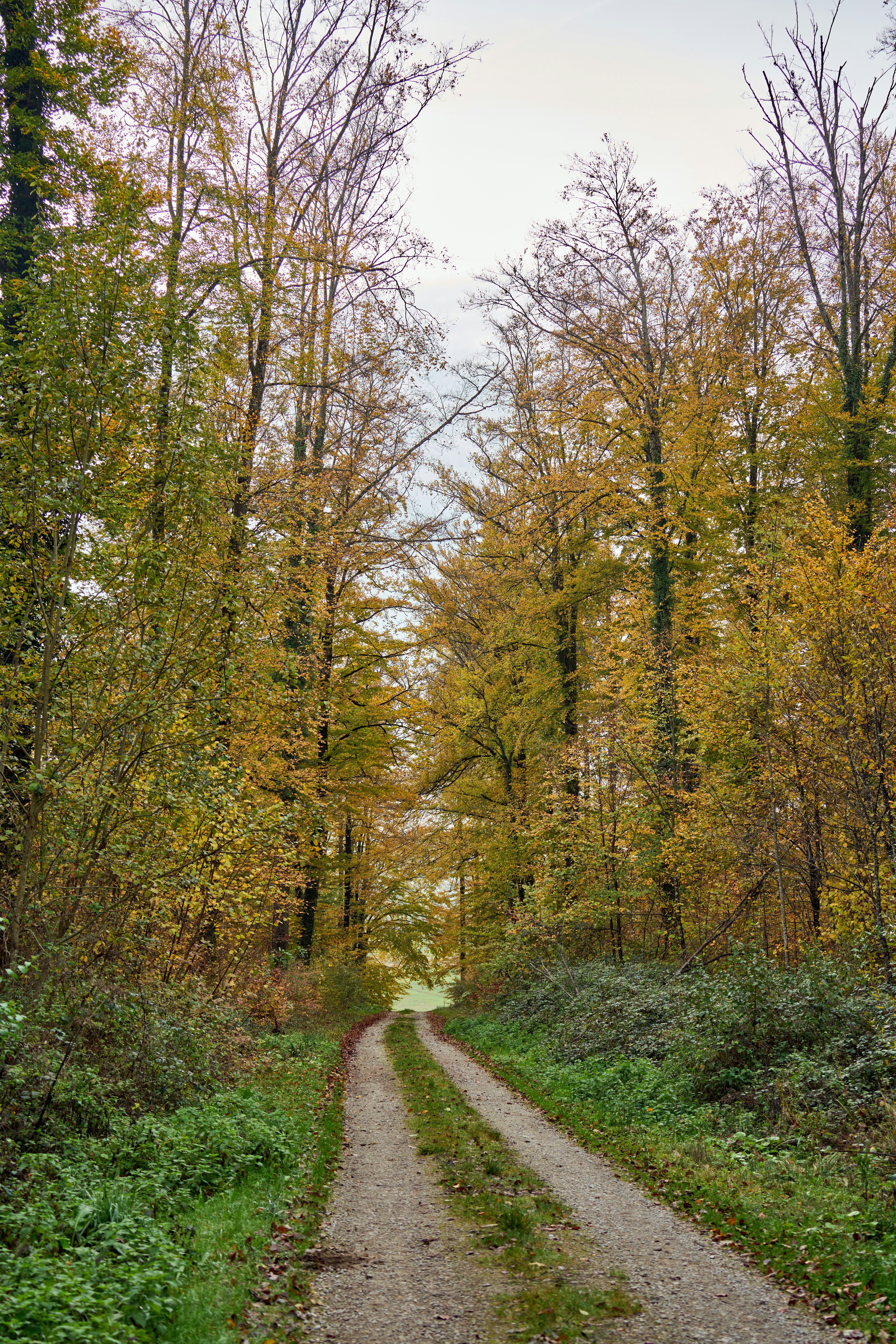 Photo by wolfgang_hasselmann