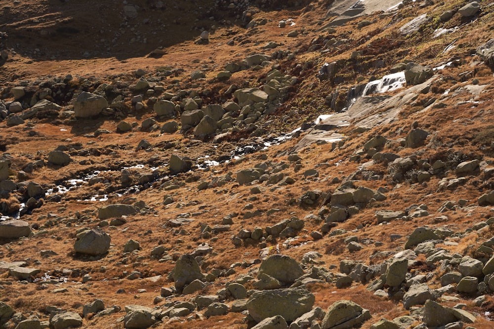 a rocky area with a few large rocks