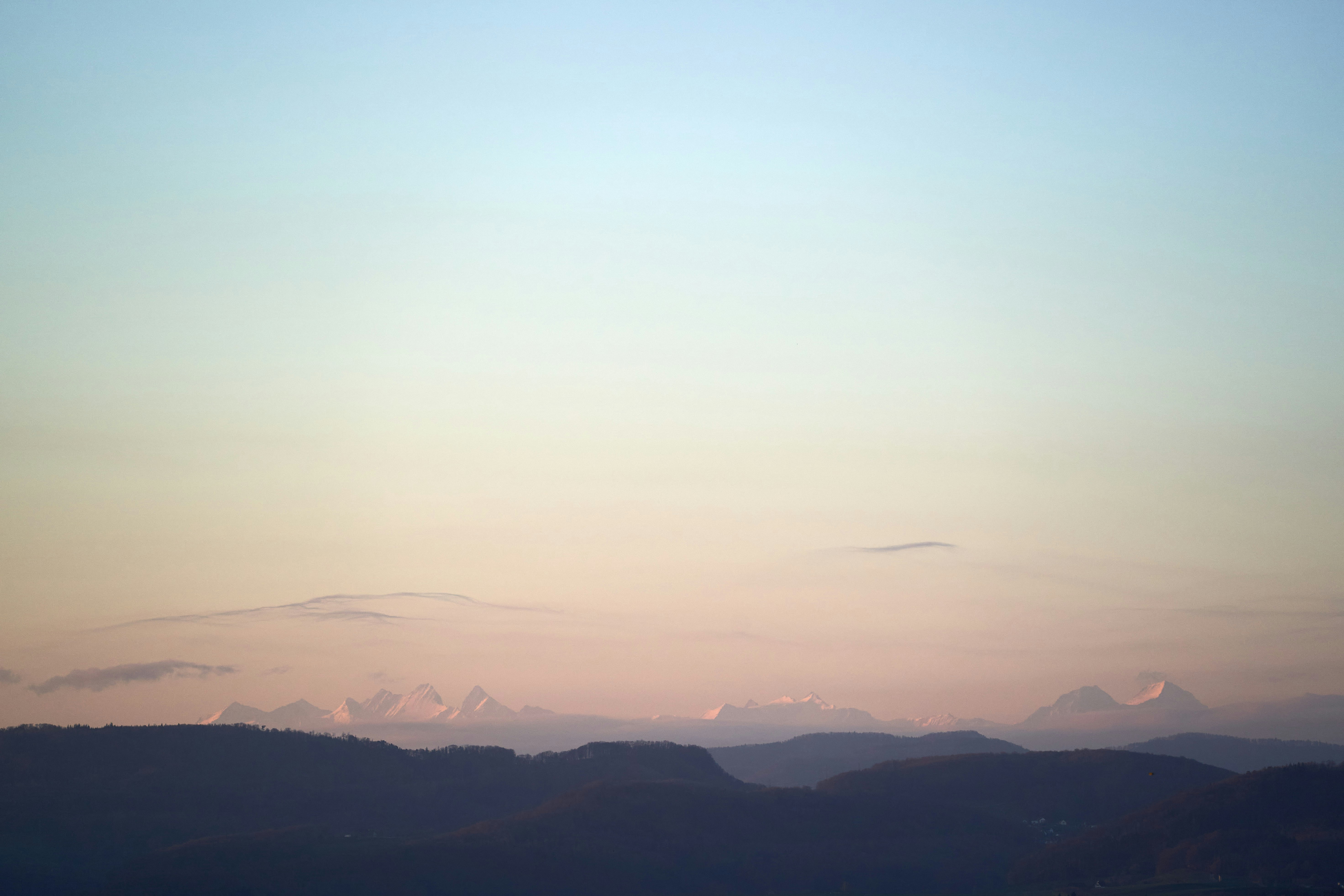 Photo by wolfgang_hasselmann