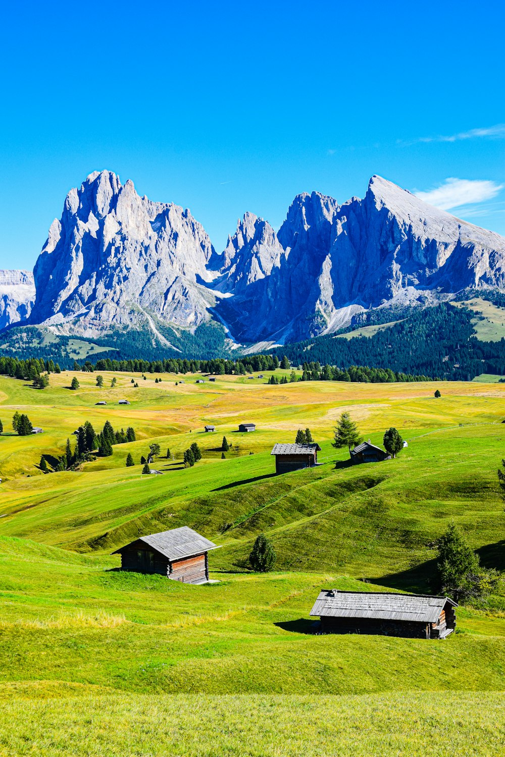 a grassy field with buildings and mountains in the background